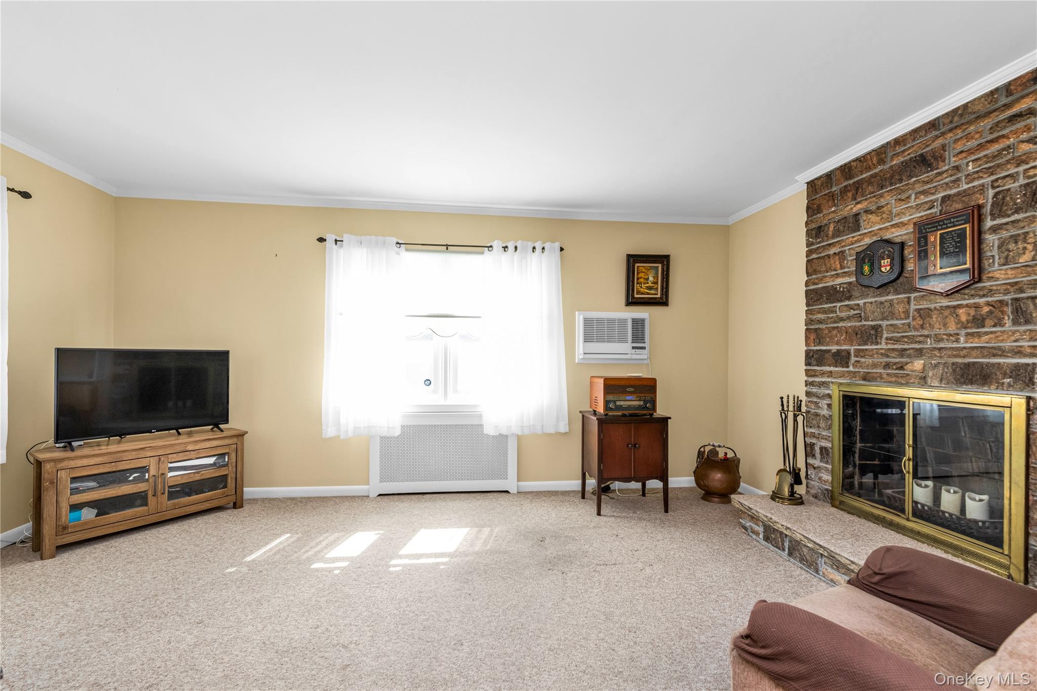 107 Aster Drive, New Hyde Park, NY 11040