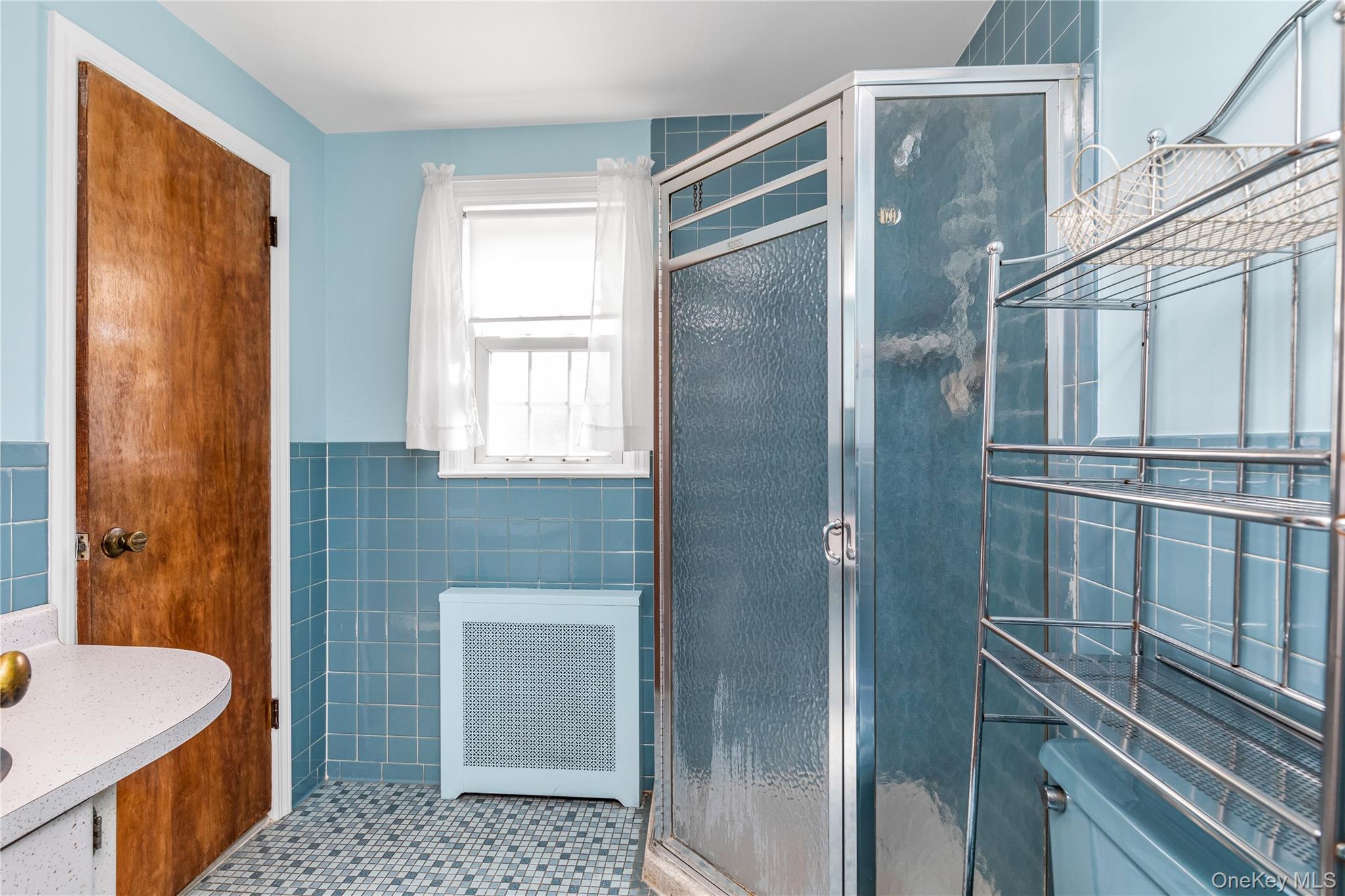 107 Aster Drive, New Hyde Park, NY 11040