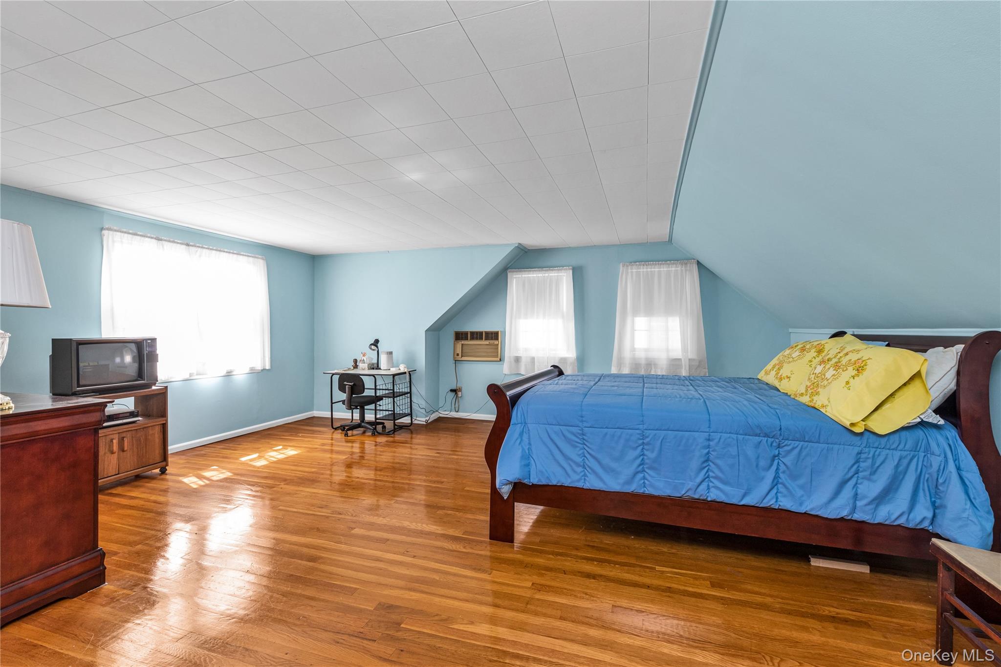 107 Aster Drive, New Hyde Park, NY 11040