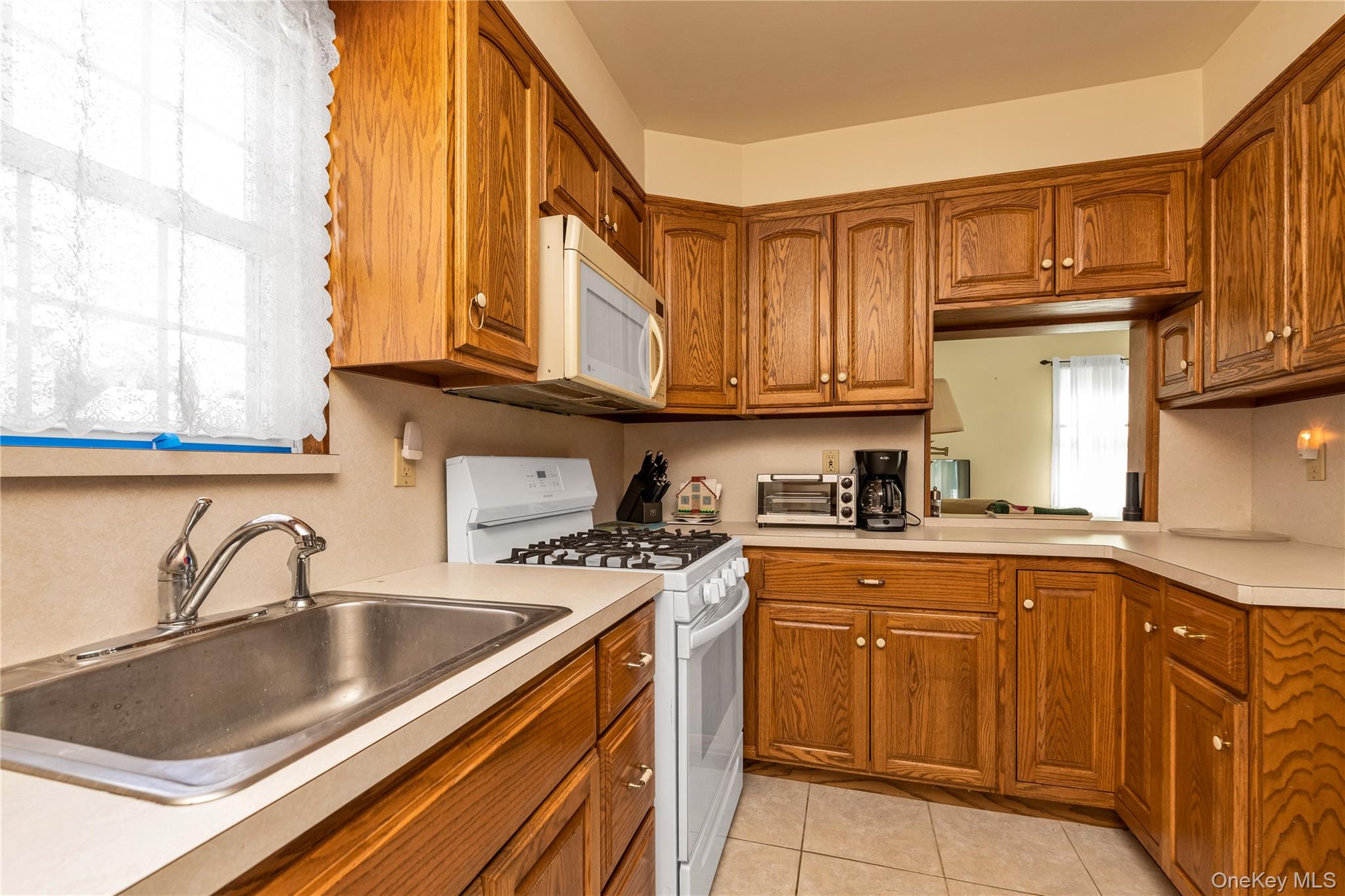 107 Aster Drive, New Hyde Park, NY 11040