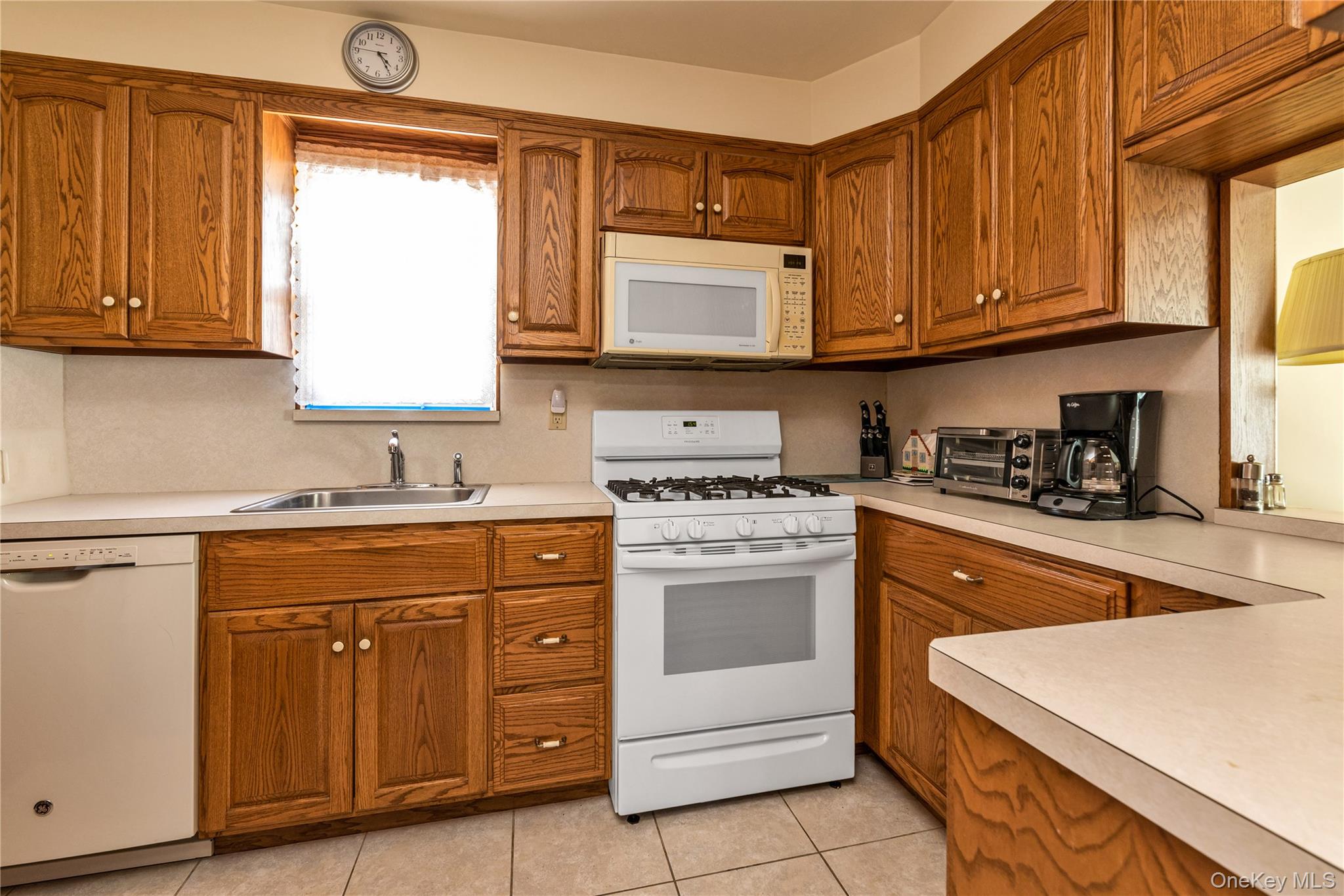 107 Aster Drive, New Hyde Park, NY 11040