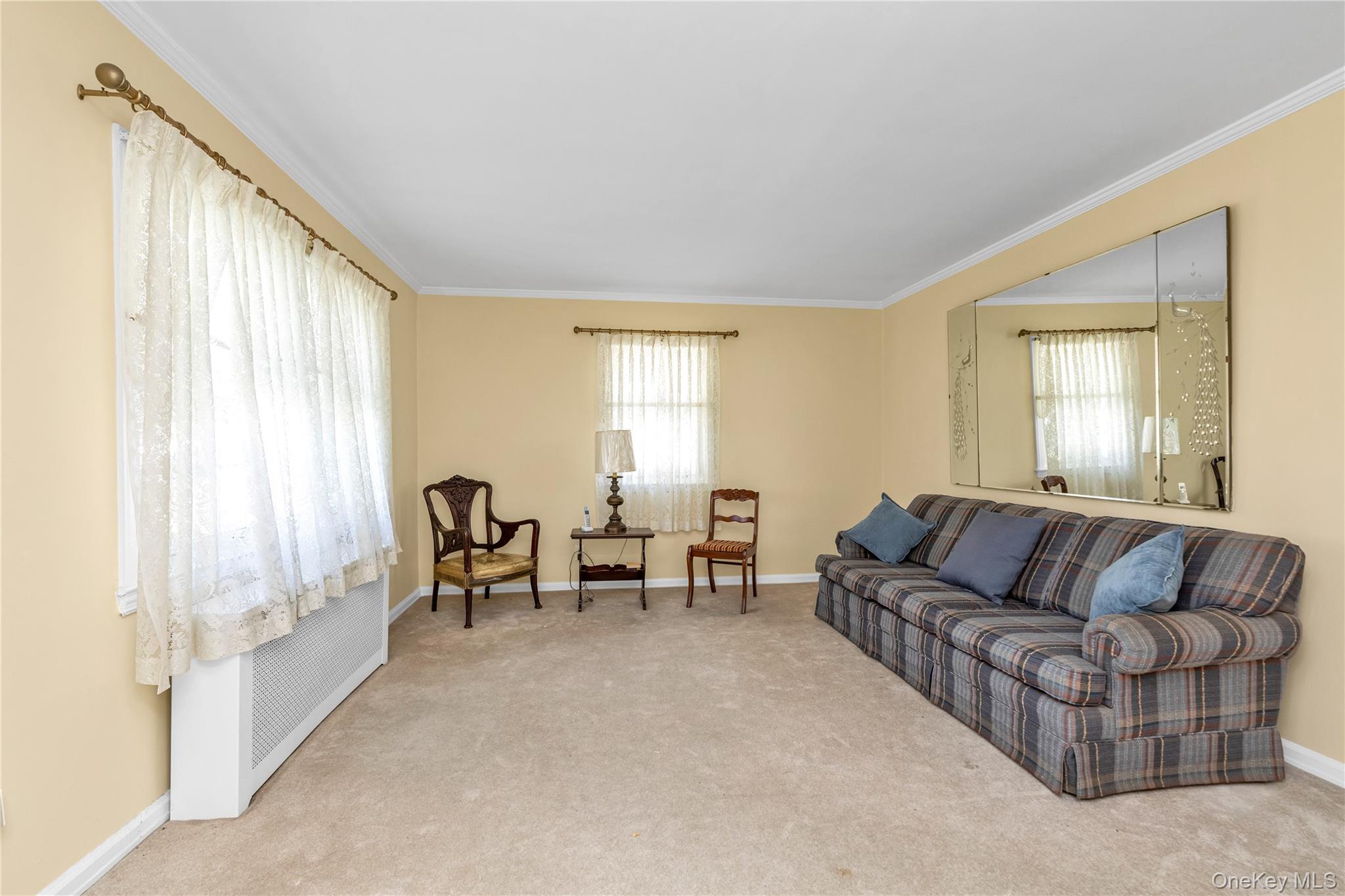 107 Aster Drive, New Hyde Park, NY 11040