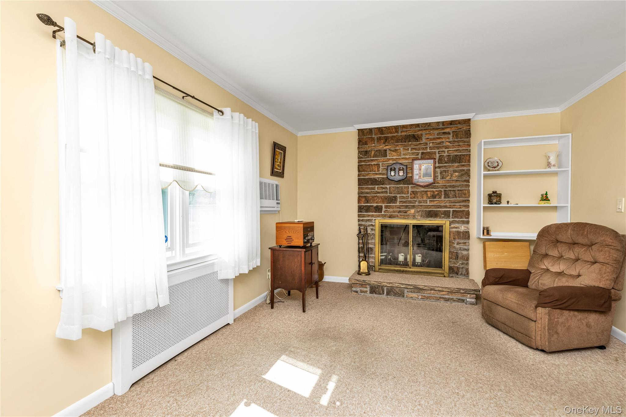 107 Aster Drive, New Hyde Park, NY 11040