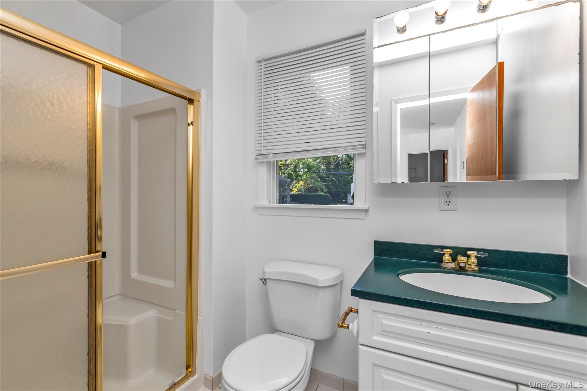 31 Chester Avenue, Stewart Manor, NY 11530