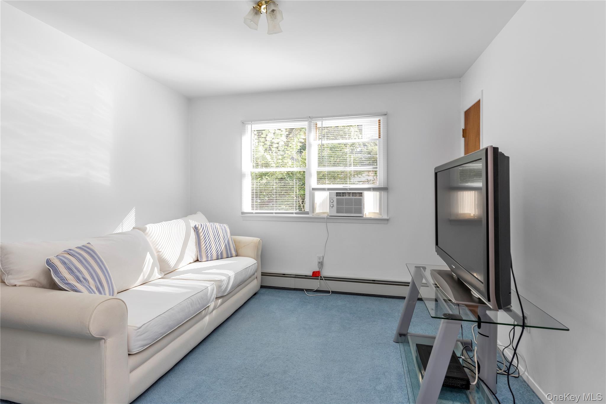 31 Chester Avenue, Stewart Manor, NY 11530