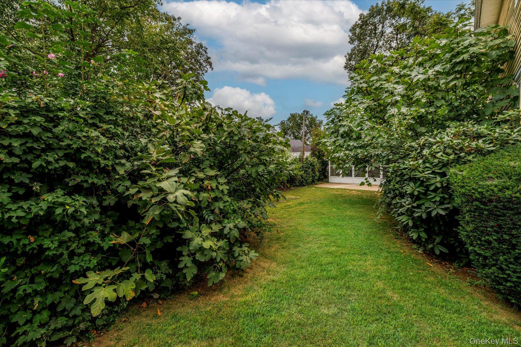 291 Evans Avenue, Elmont, NY 11003