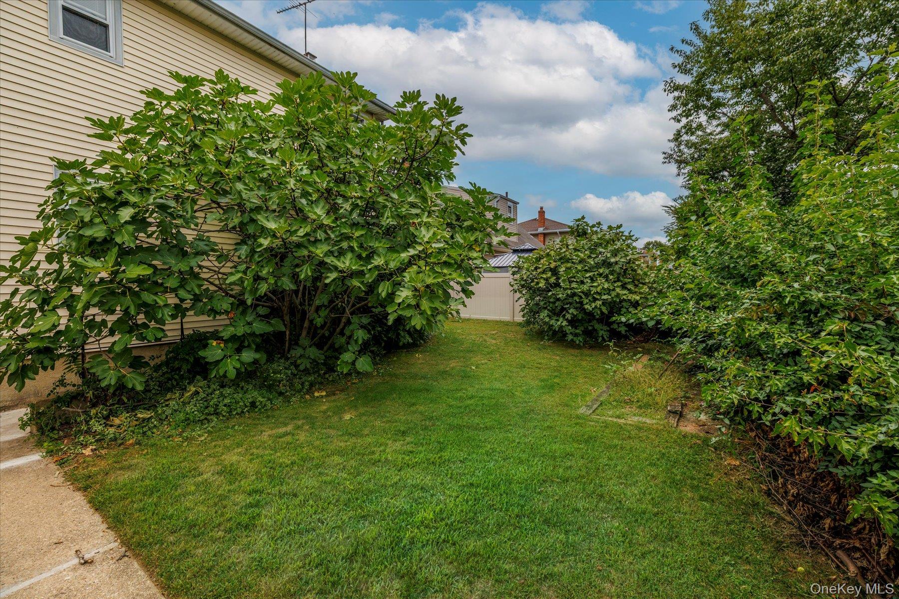 291 Evans Avenue, Elmont, NY 11003