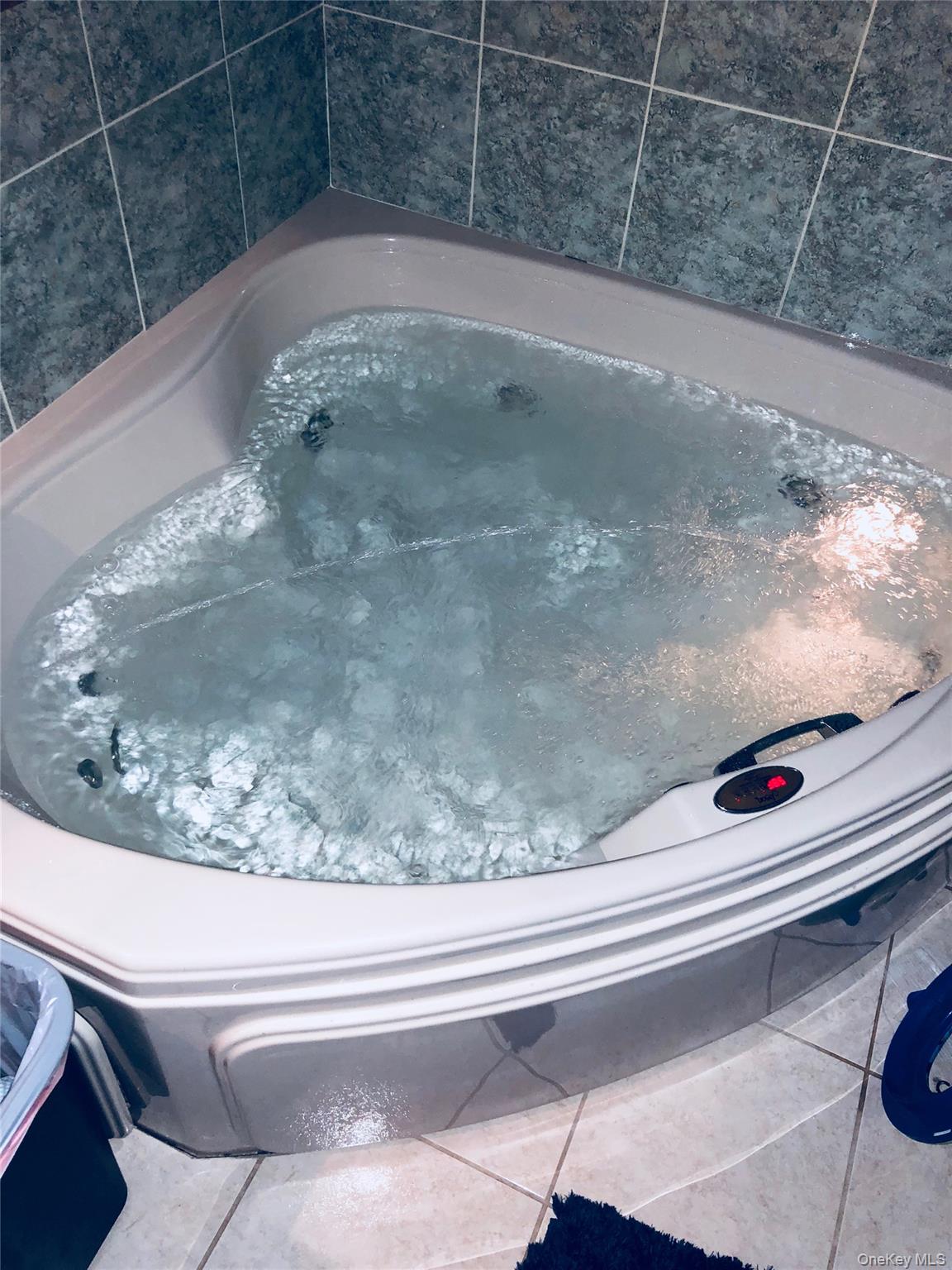 10 Basswood Place, Melville, NY 11747