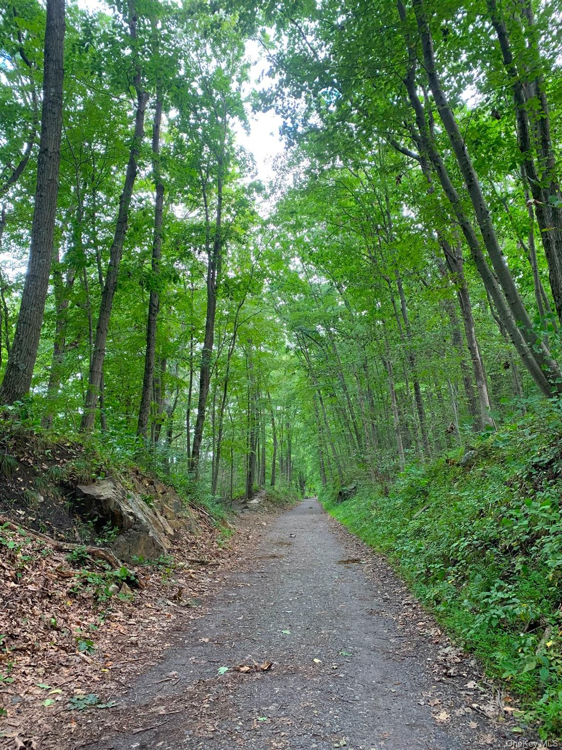 90 BRYANT Avenue # F-3D, White Plains, NY 10605