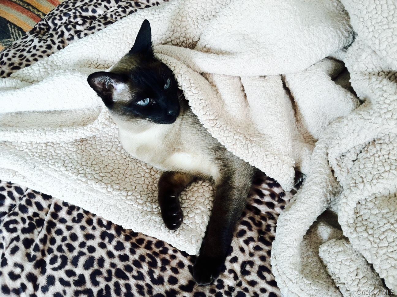 90 BRYANT Avenue # F-3D, White Plains, NY 10605