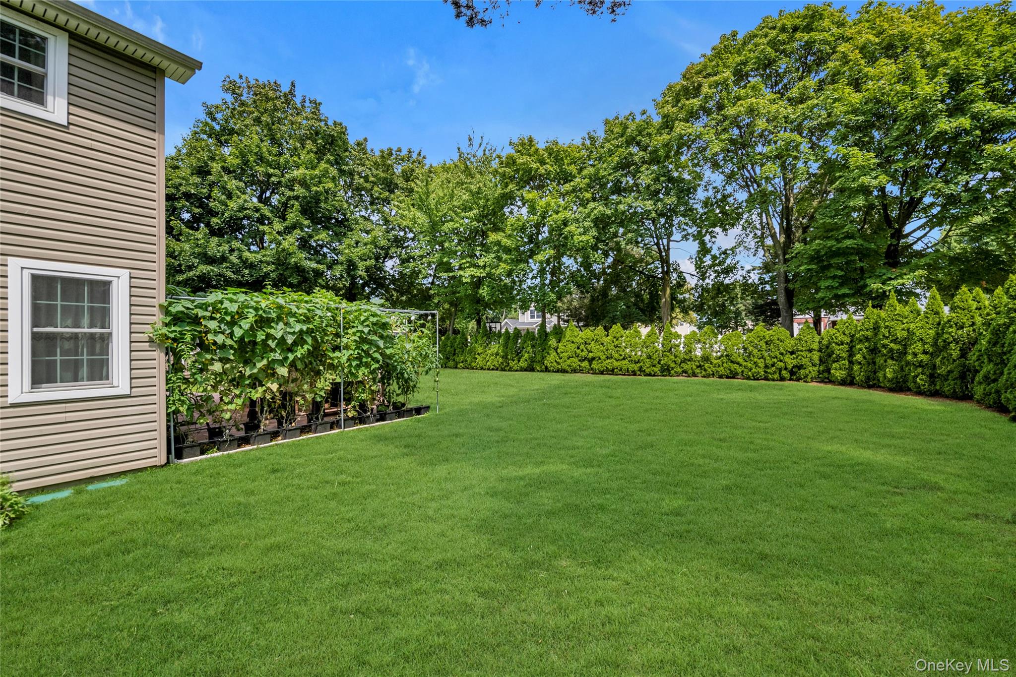 10 Field Avenue, Hicksville, NY 11801