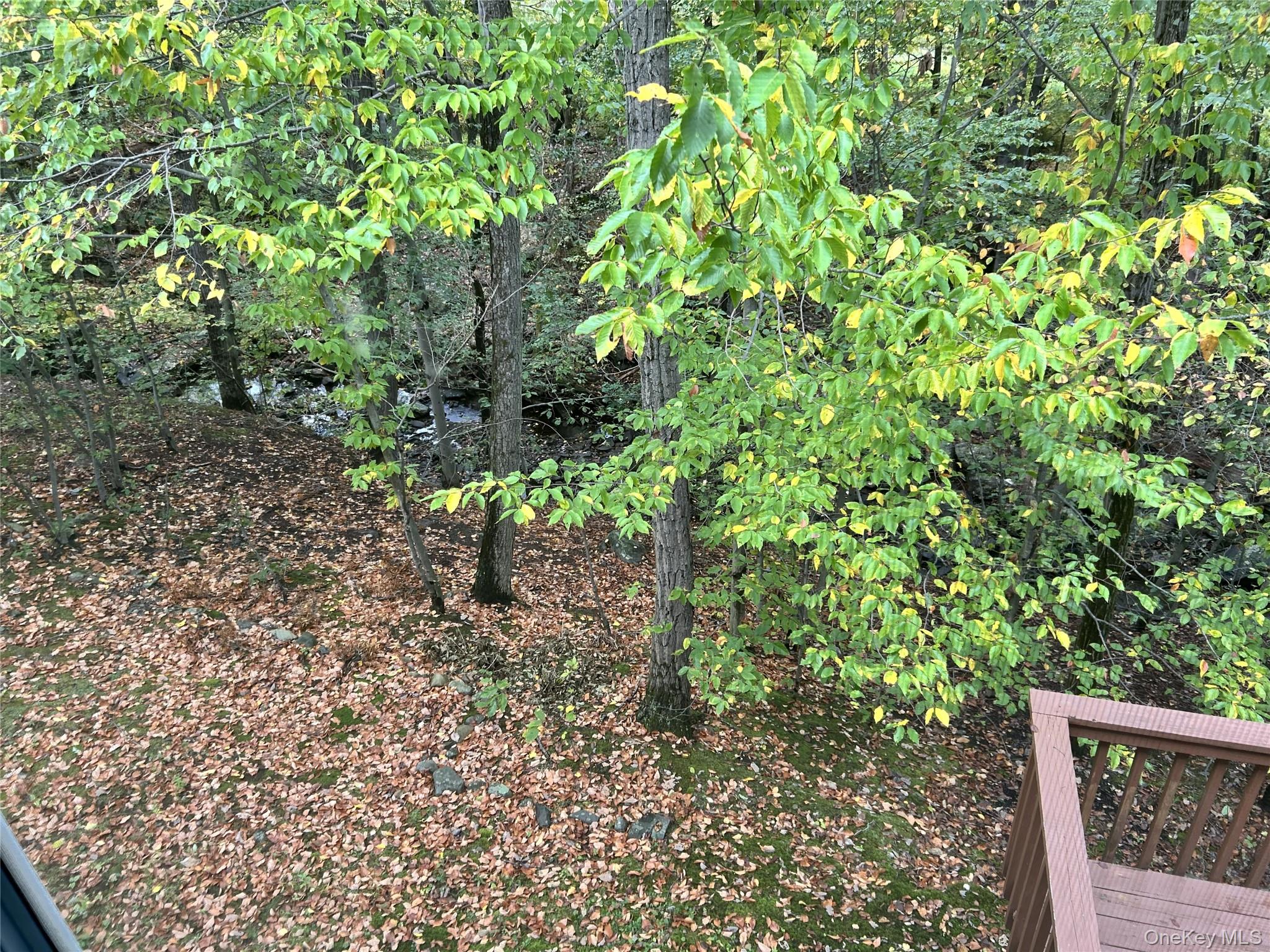 20 Woodbine Drive, Highland Mills, NY 10930