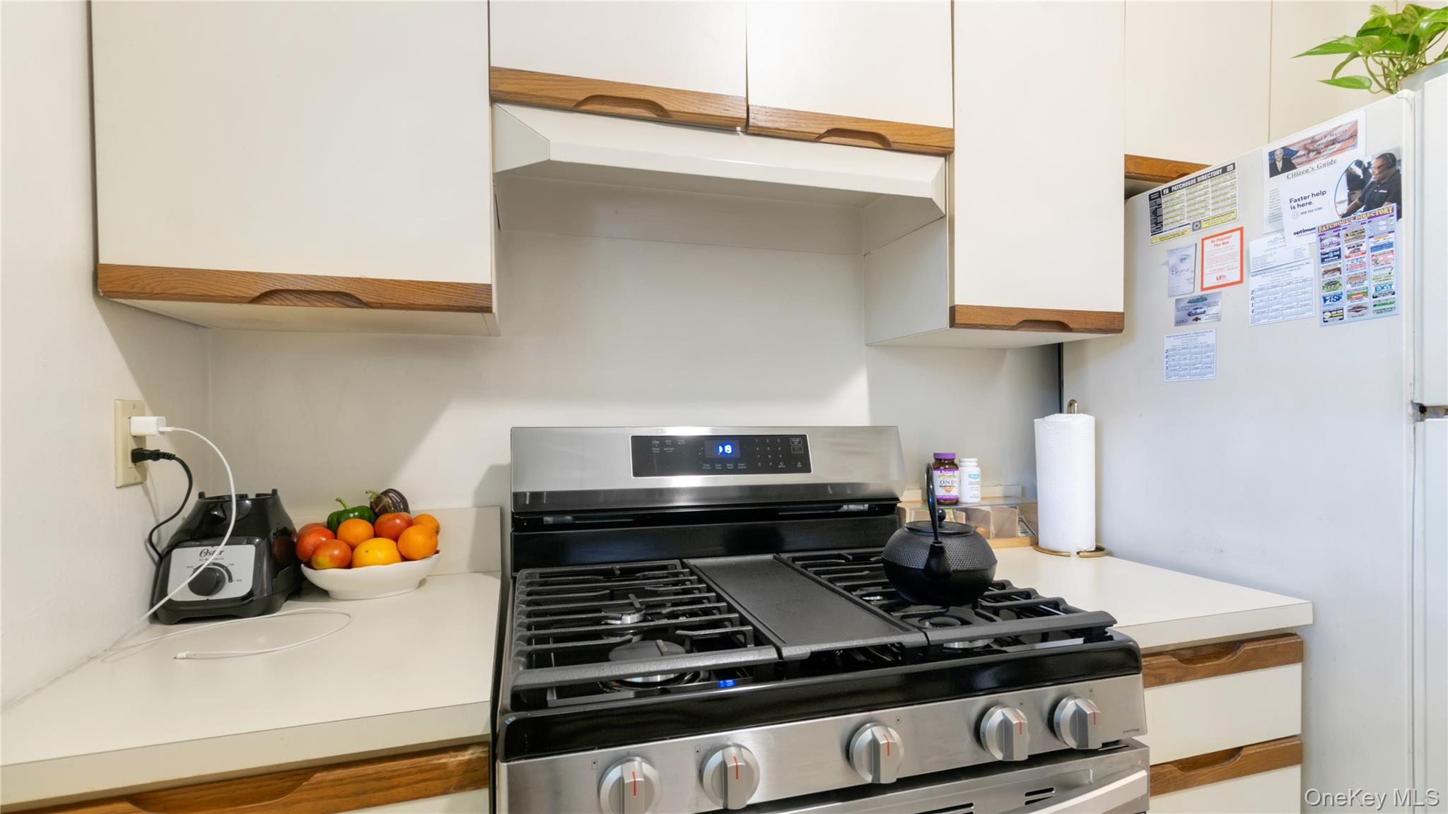 16 Fair Harbor Drive # 16, Patchogue, NY 11772