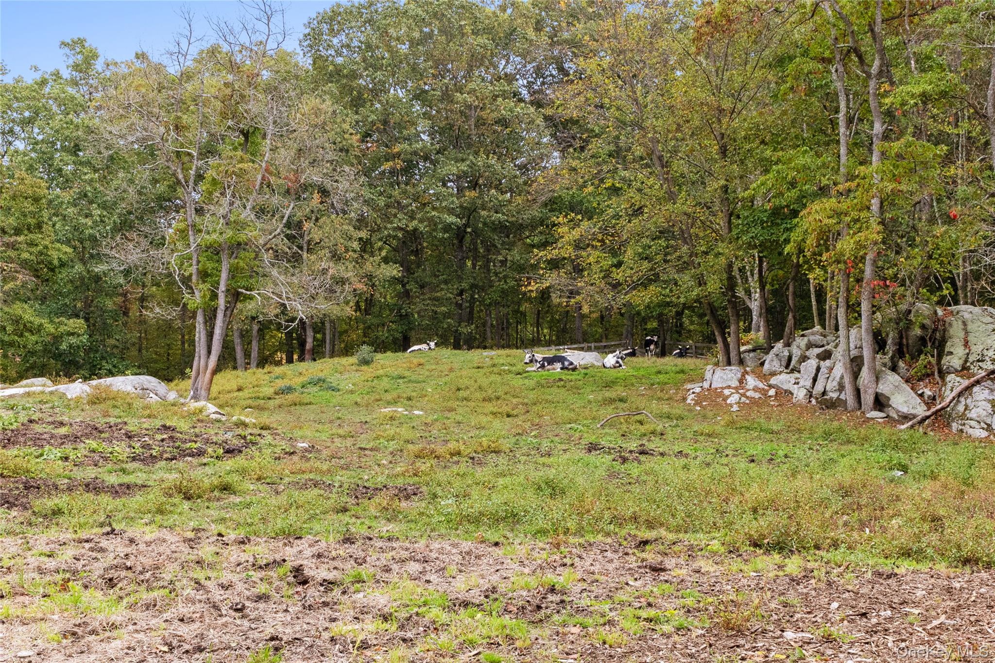 898 Gipsy Trail Road, Carmel, NY 10512