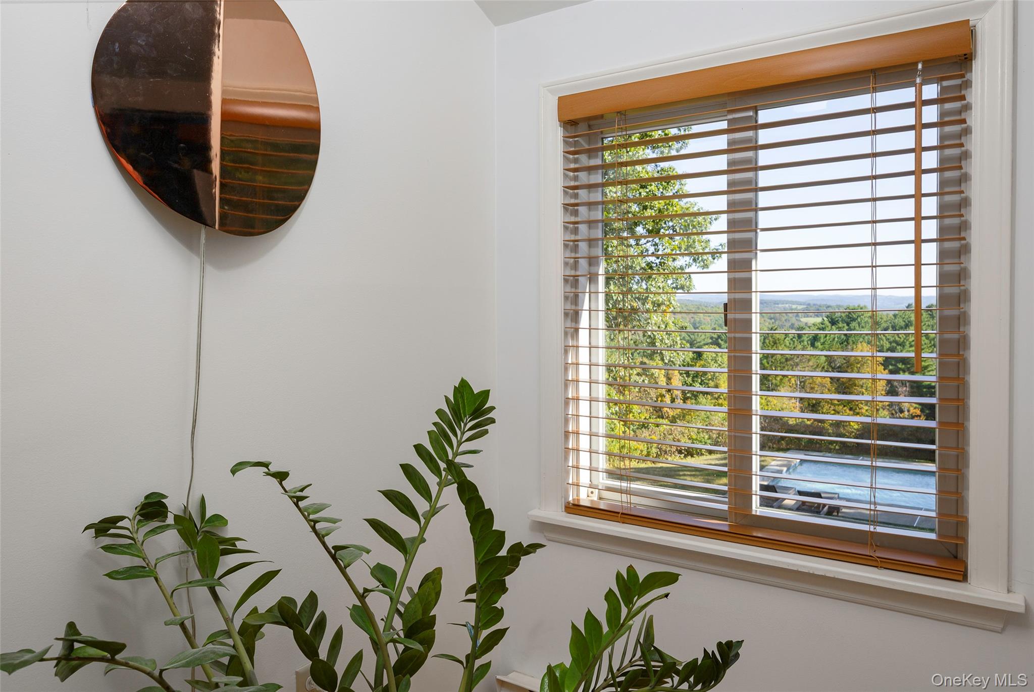 84 Green Hill Road, Pine Plains, NY 12567