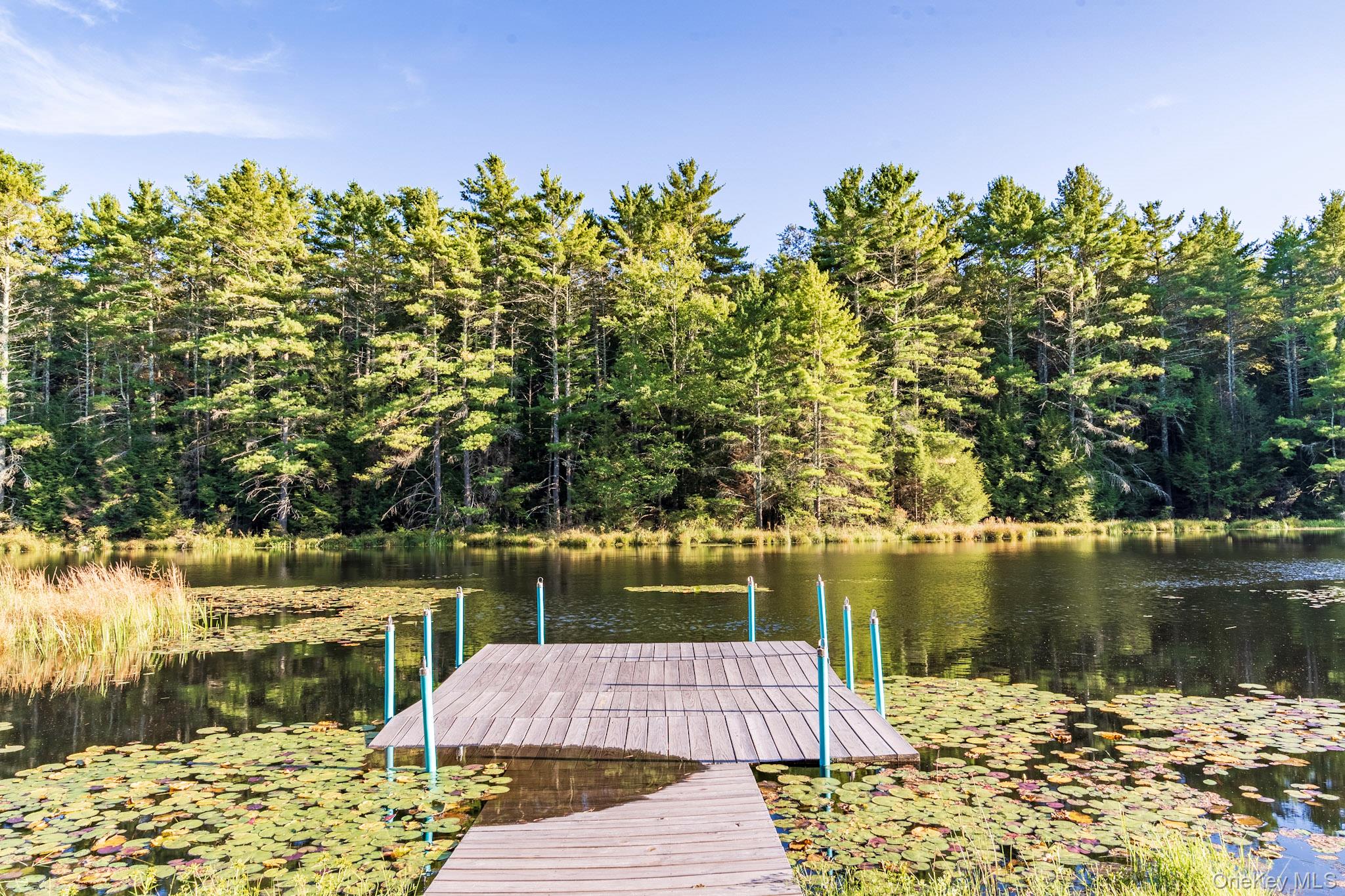 68 Stag Forest Road, Forestburgh, NY 12777