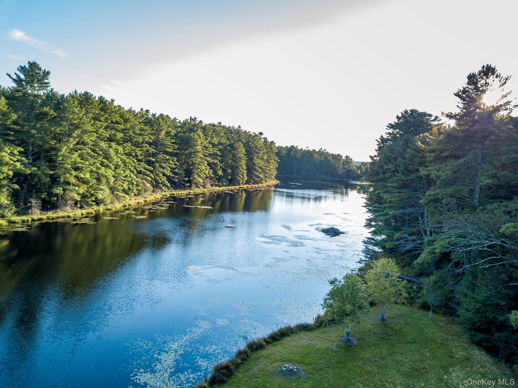 68 Stag Forest Road, Forestburgh, NY 12777