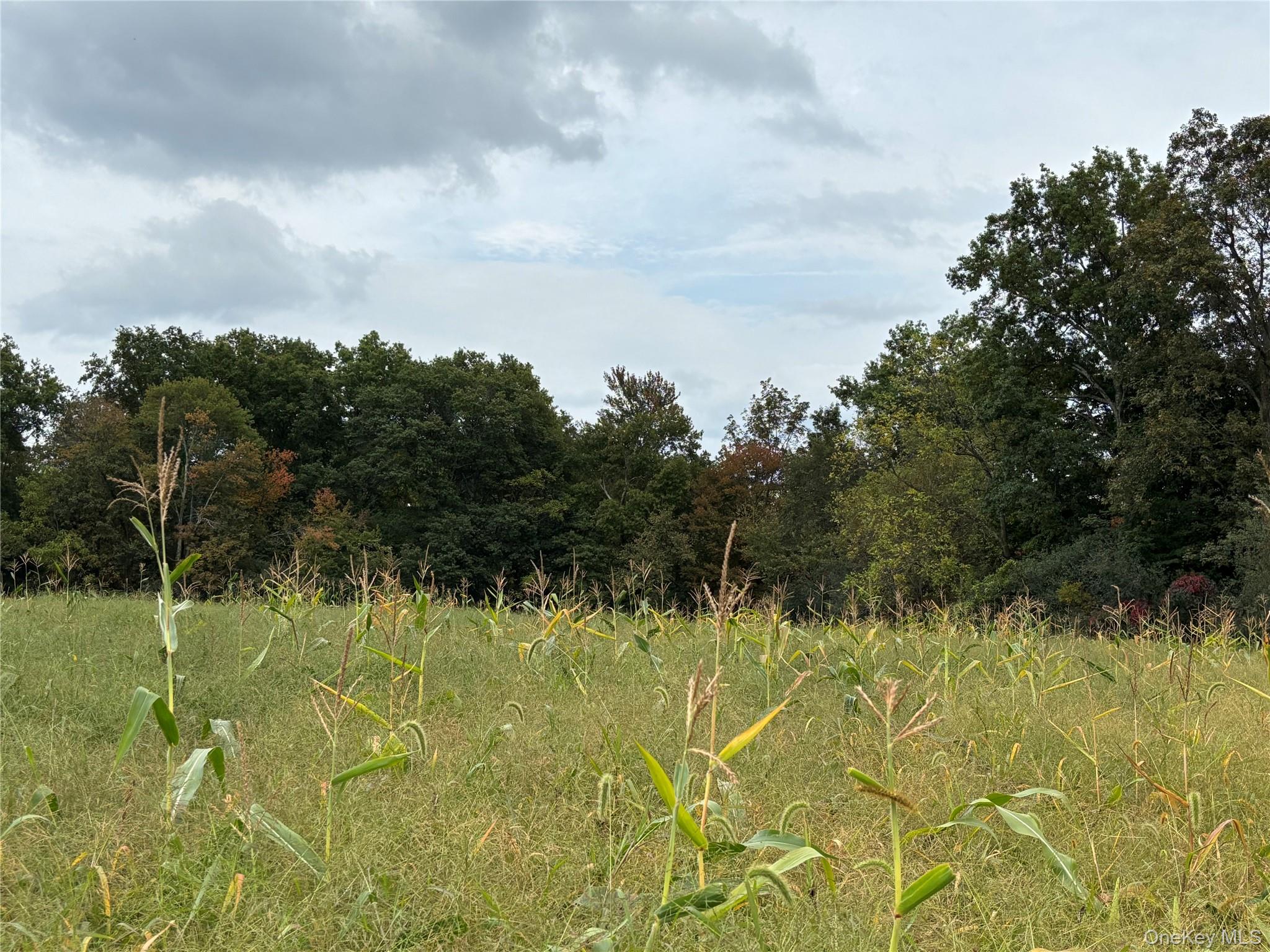 6 Milo Road, New Hampton, NY 10940