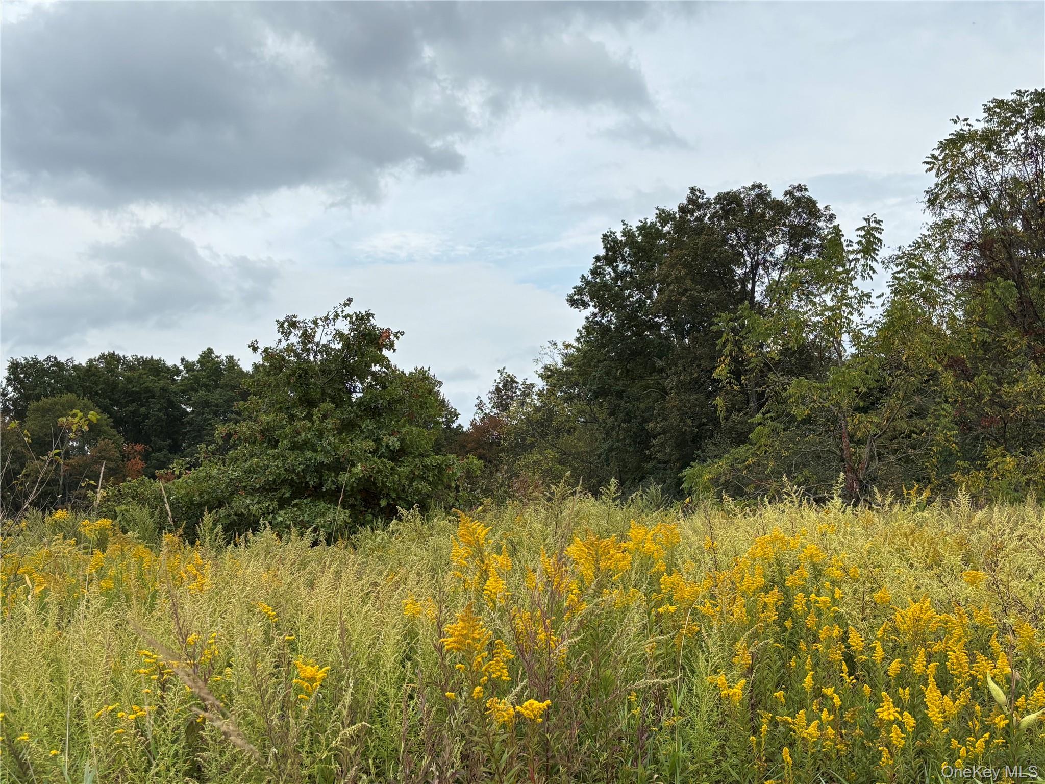 6 Milo Road, New Hampton, NY 10940