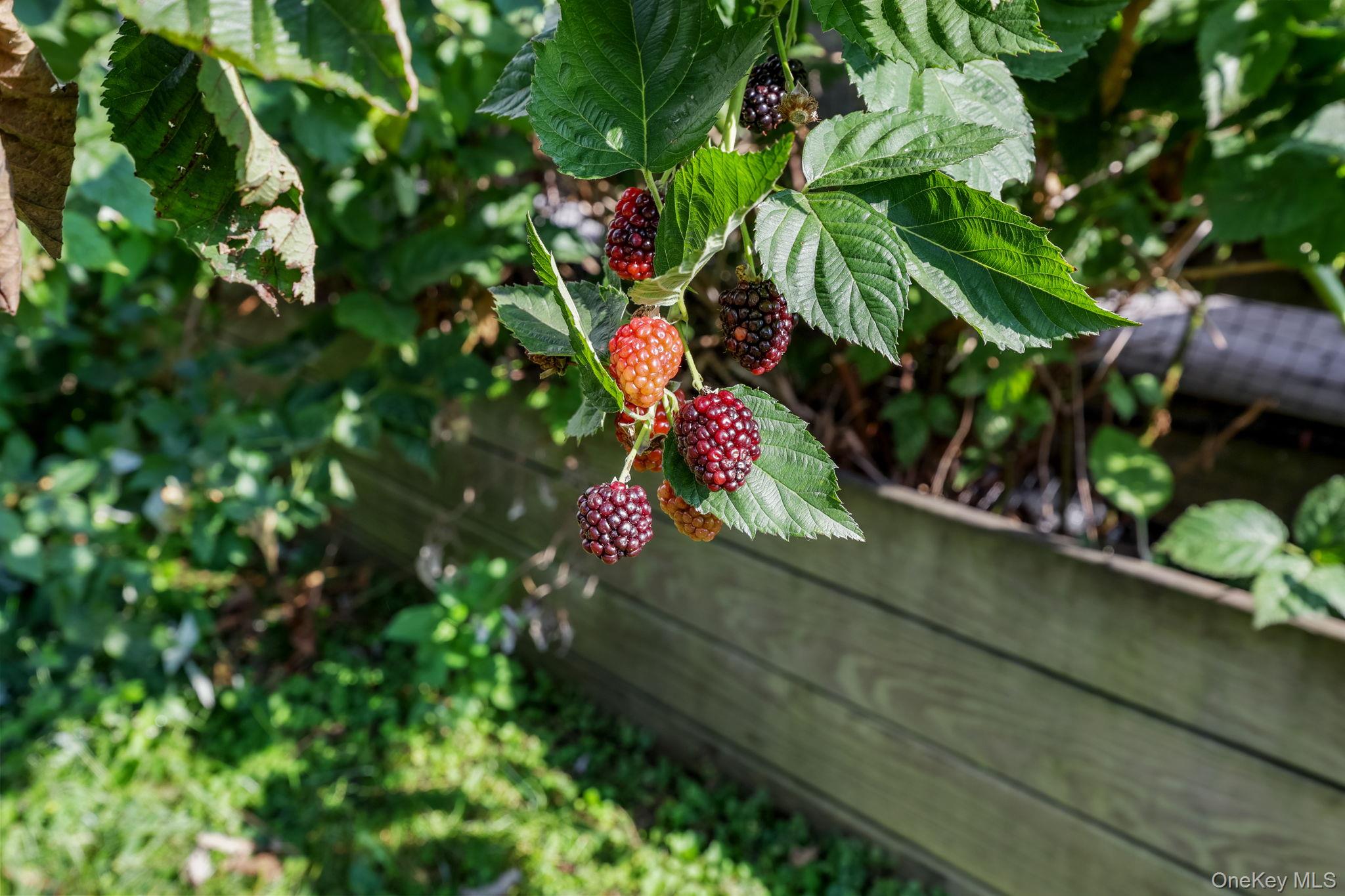 24 Tintern Lane, Scarsdale, NY 10583