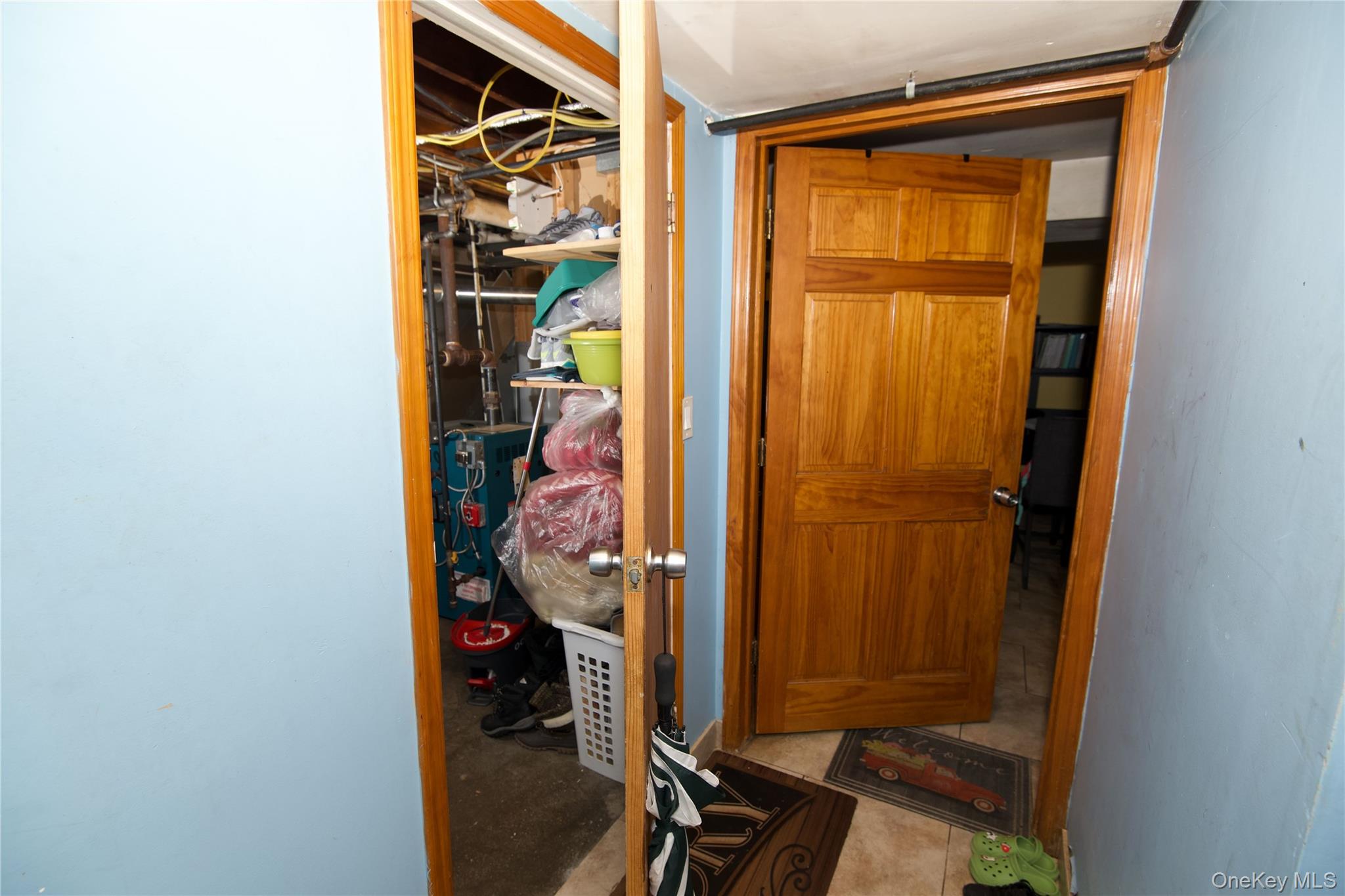 642 Dorothea Lane, Elmont, NY 11003