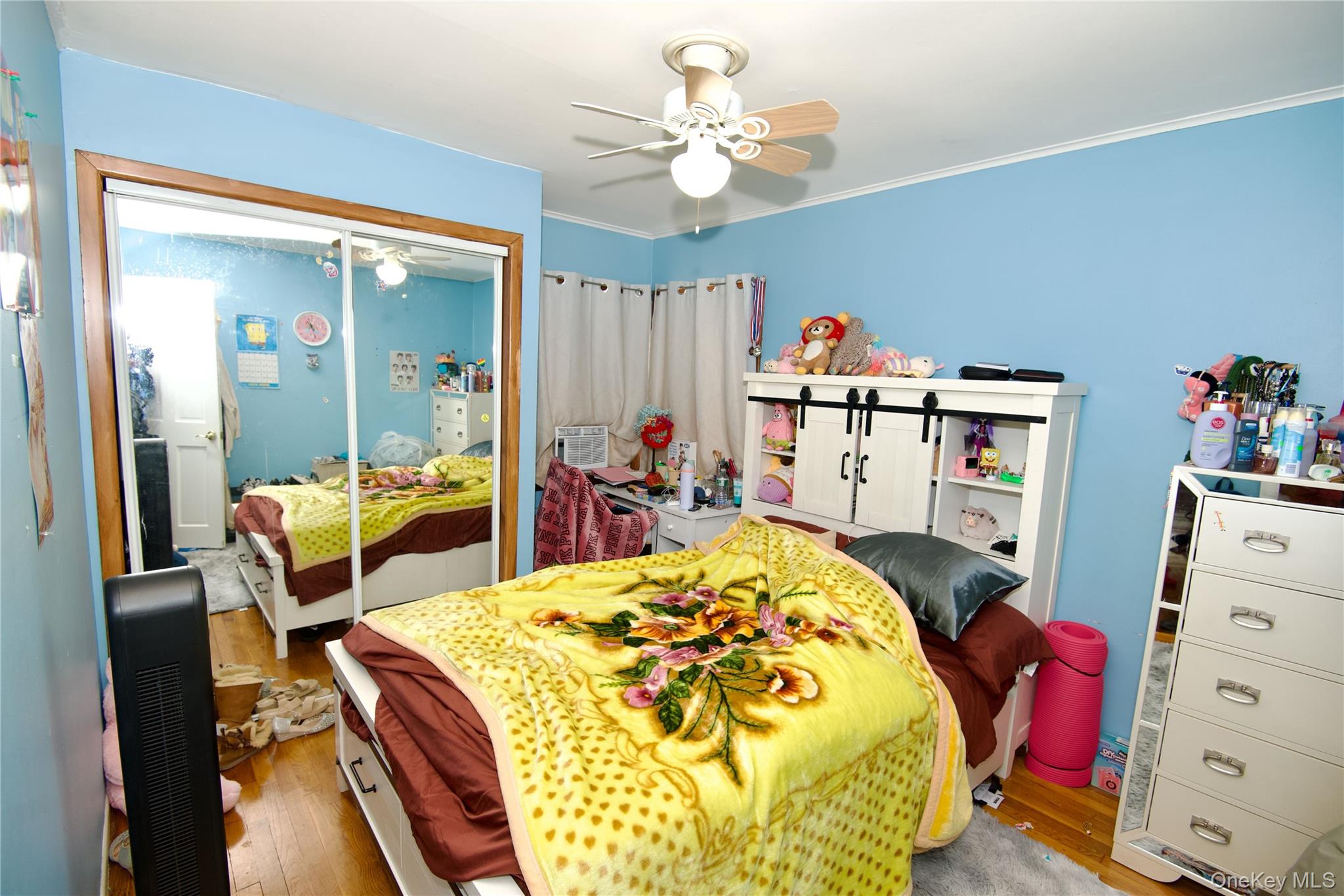 642 Dorothea Lane, Elmont, NY 11003