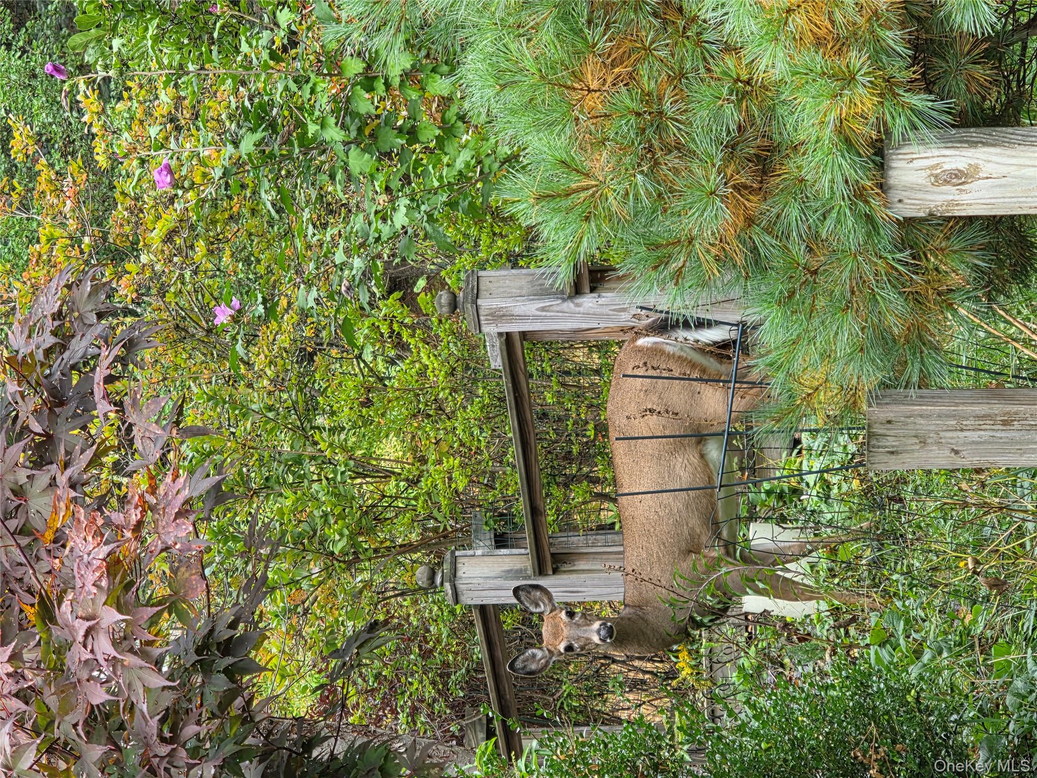 21 County Road 164, Jeffersonville, NY 12748