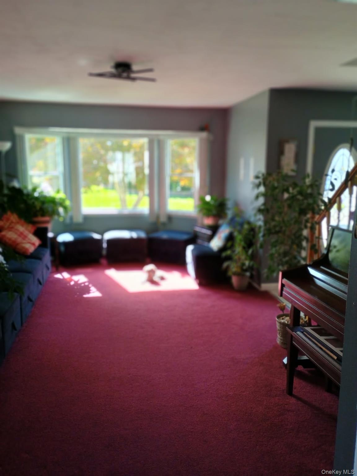 7 Deville Drive, Selden, NY 11784