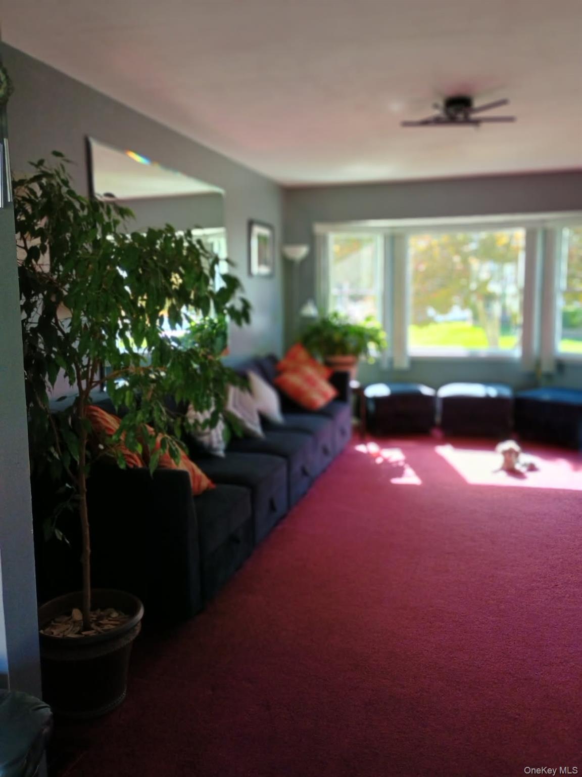 7 Deville Drive, Selden, NY 11784