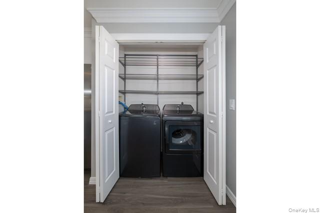 148 Cassa Loop # 148, Holtsville, NY 11742