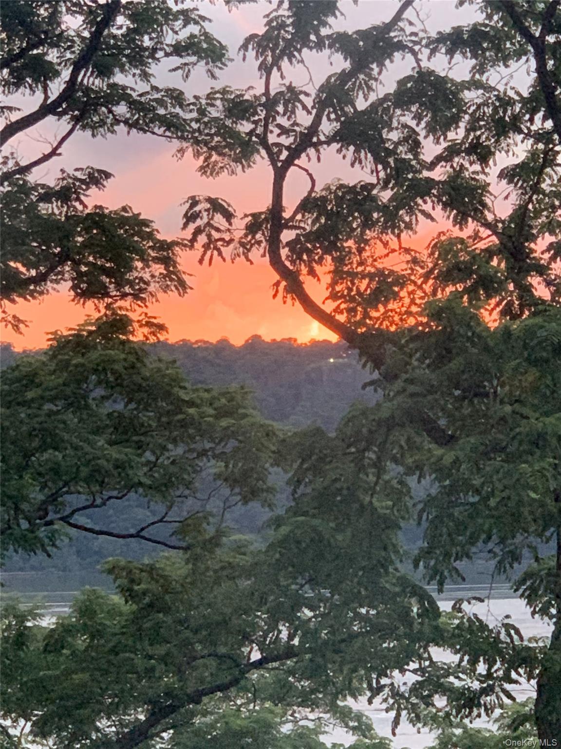 2727 Palisade Avenue # 4H, Bronx, NY 10463