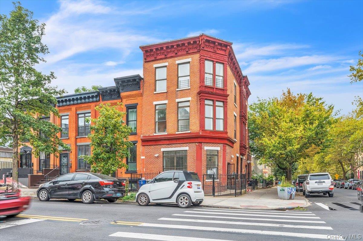 442 Marion Street, Brooklyn, NY 11233