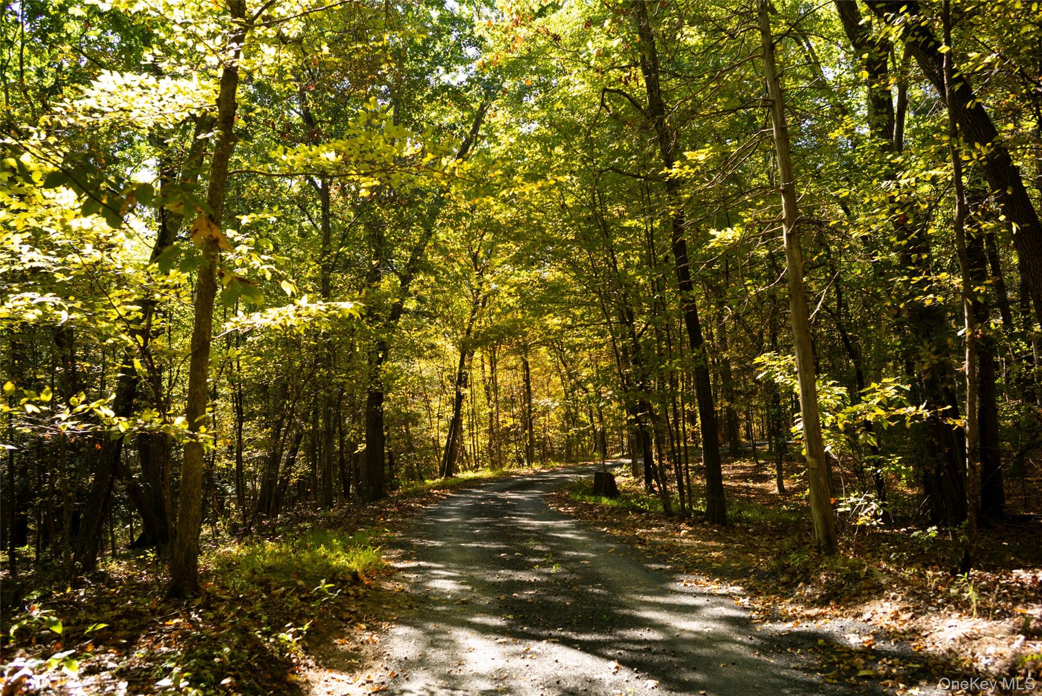 72 Old Farm Road, Rhinebeck, NY 12572