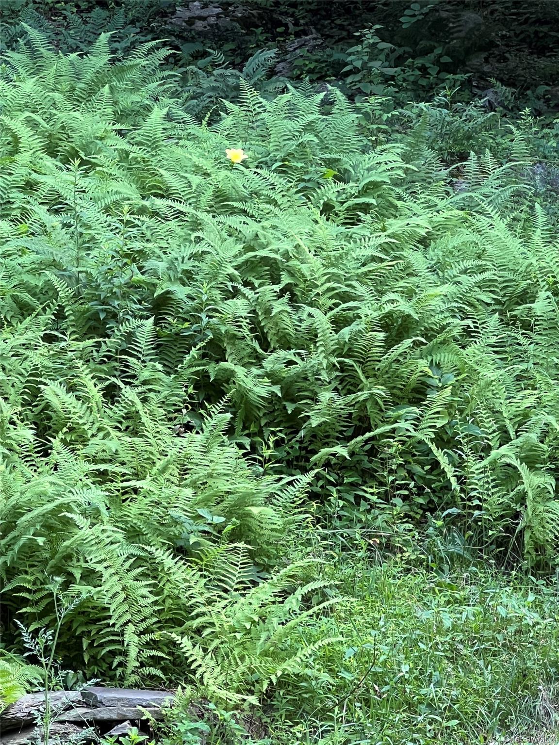 72 Old Farm Road, Rhinebeck, NY 12572