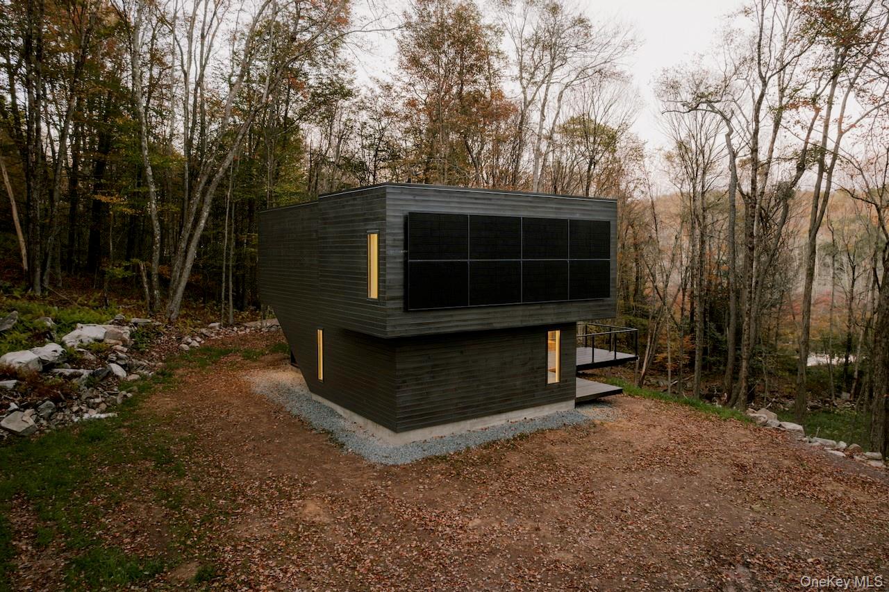 190 Bowers, Roscoe, NY 12776