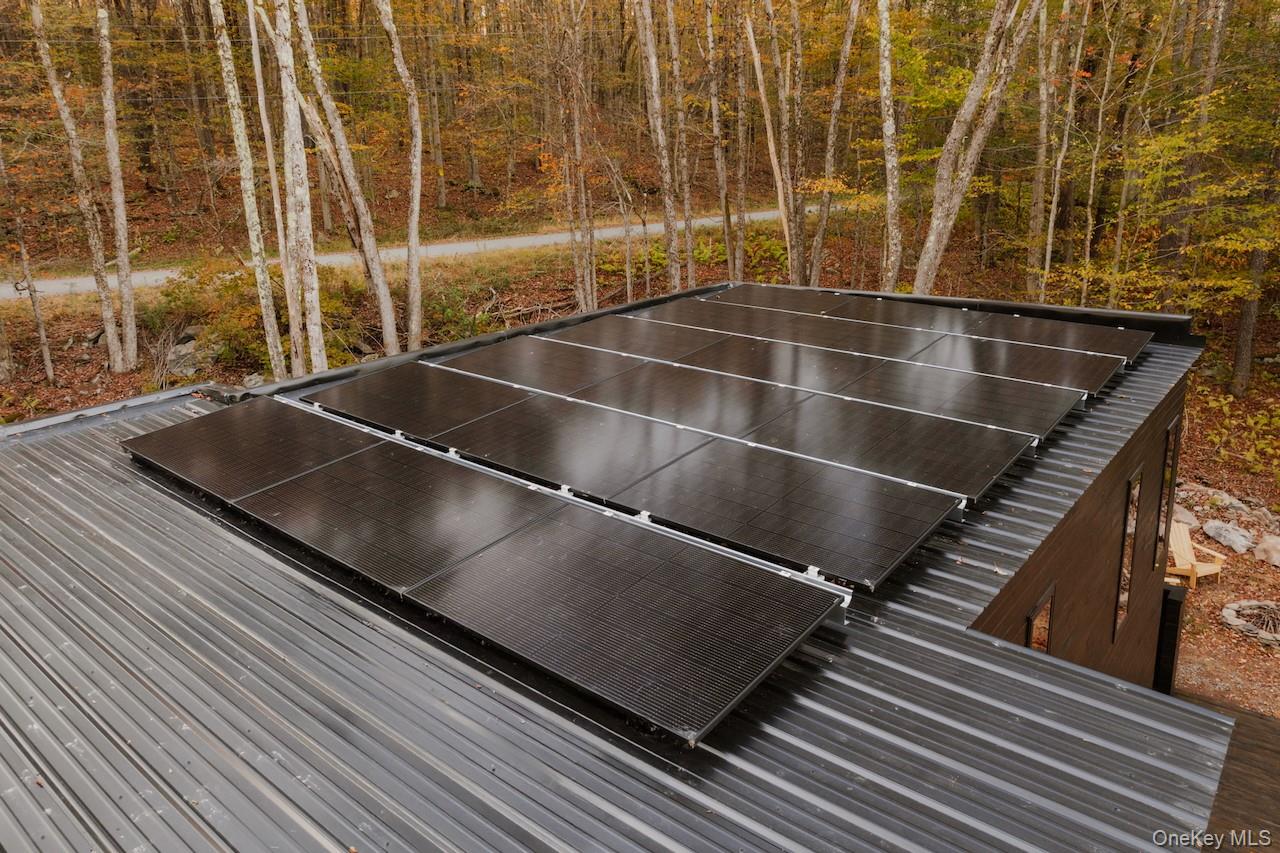 190 Bowers, Roscoe, NY 12776