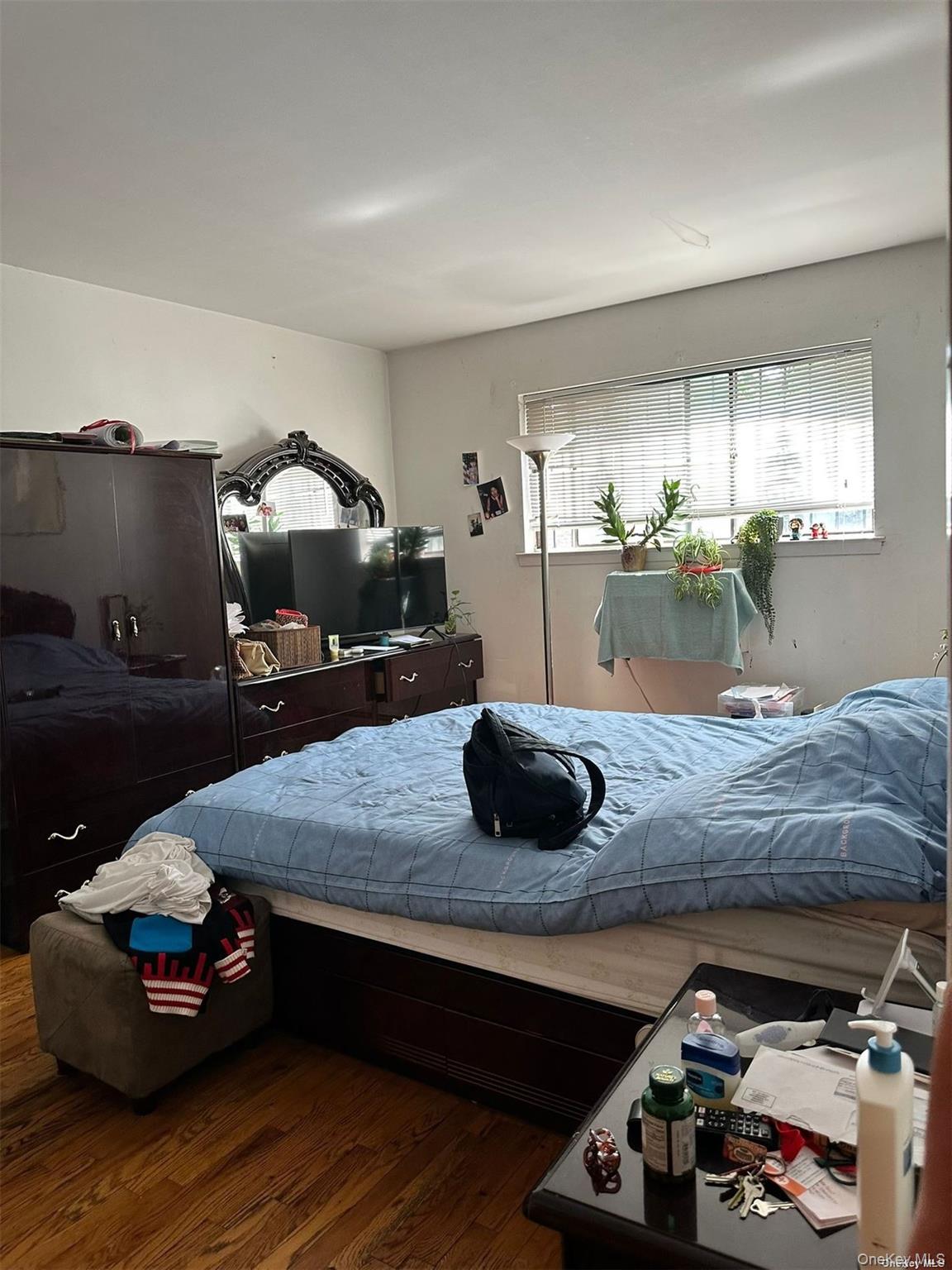 137-38 Kalmia Avenue, Flushing, NY 11355