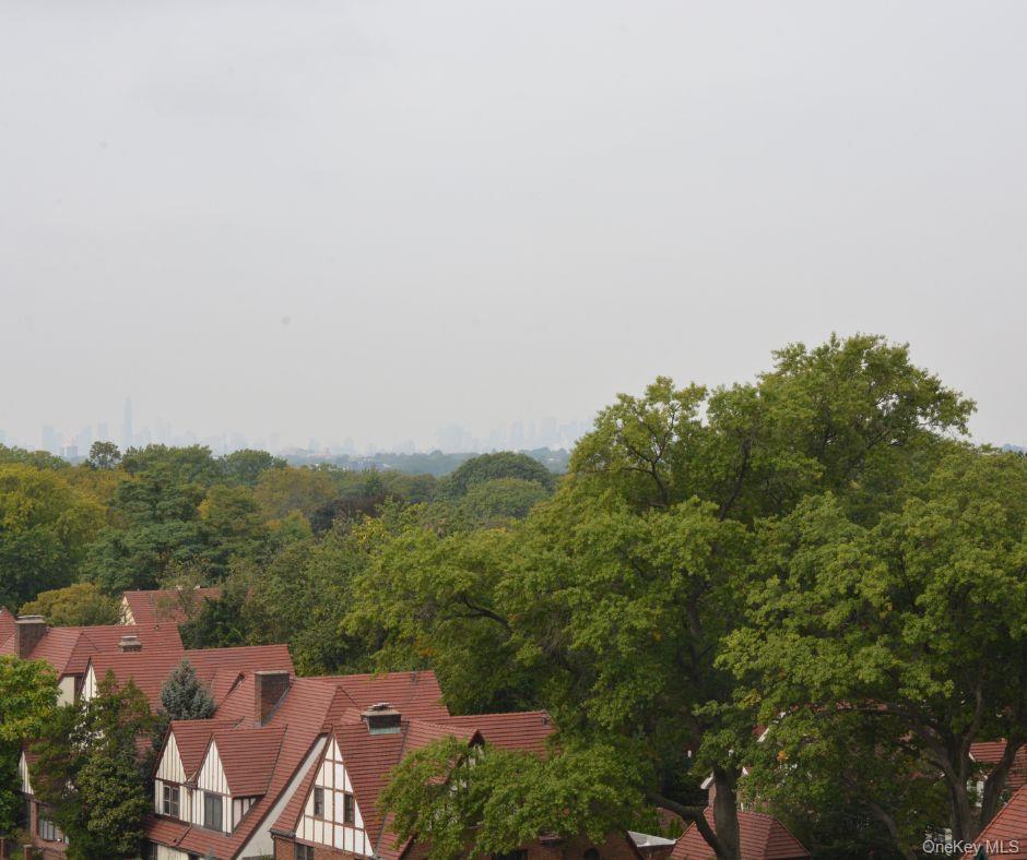 118-18 Union Turnpike # 9L, Kew Gardens, NY 11415