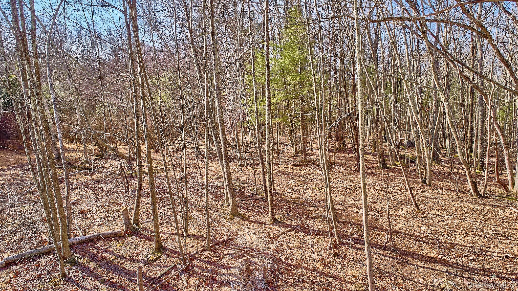 Lot 1 Zane Grey Way, Barryville, NY 12719