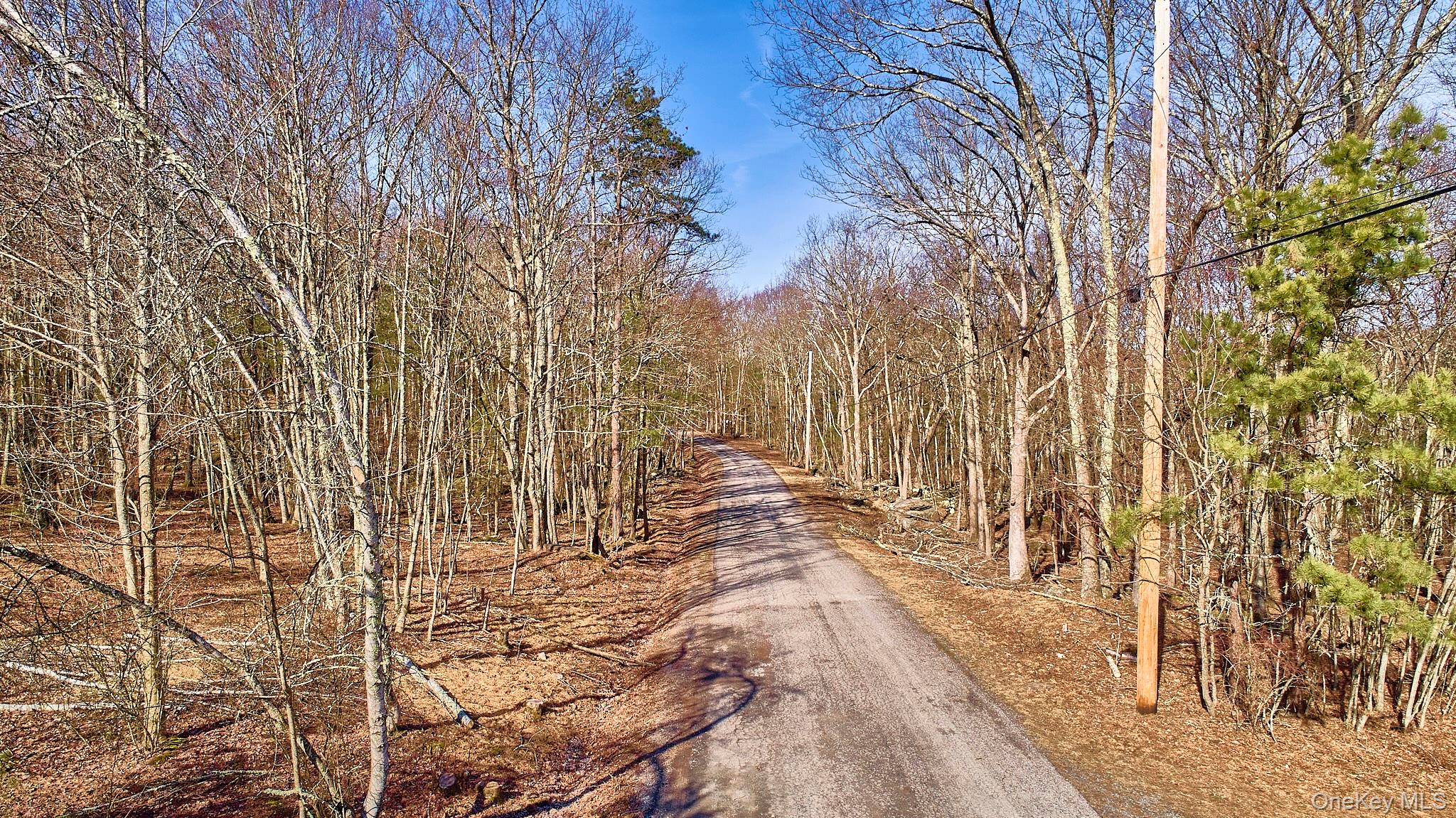 Lot 1 Zane Grey Way, Barryville, NY 12719