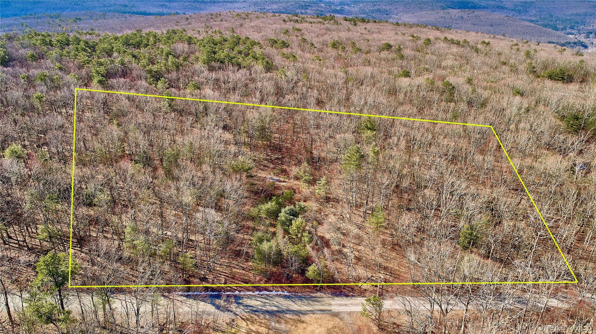 Lot 1 Zane Grey Way, Barryville, NY 12719