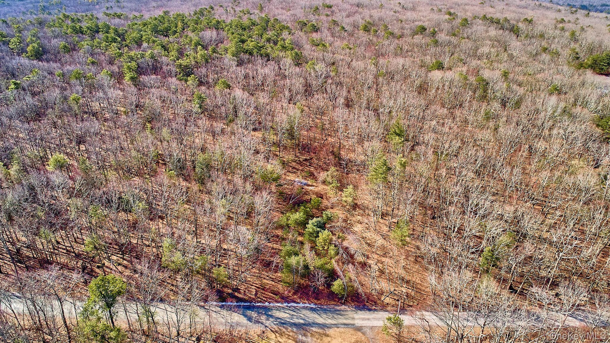 Lot 1 Zane Grey Way, Barryville, NY 12719