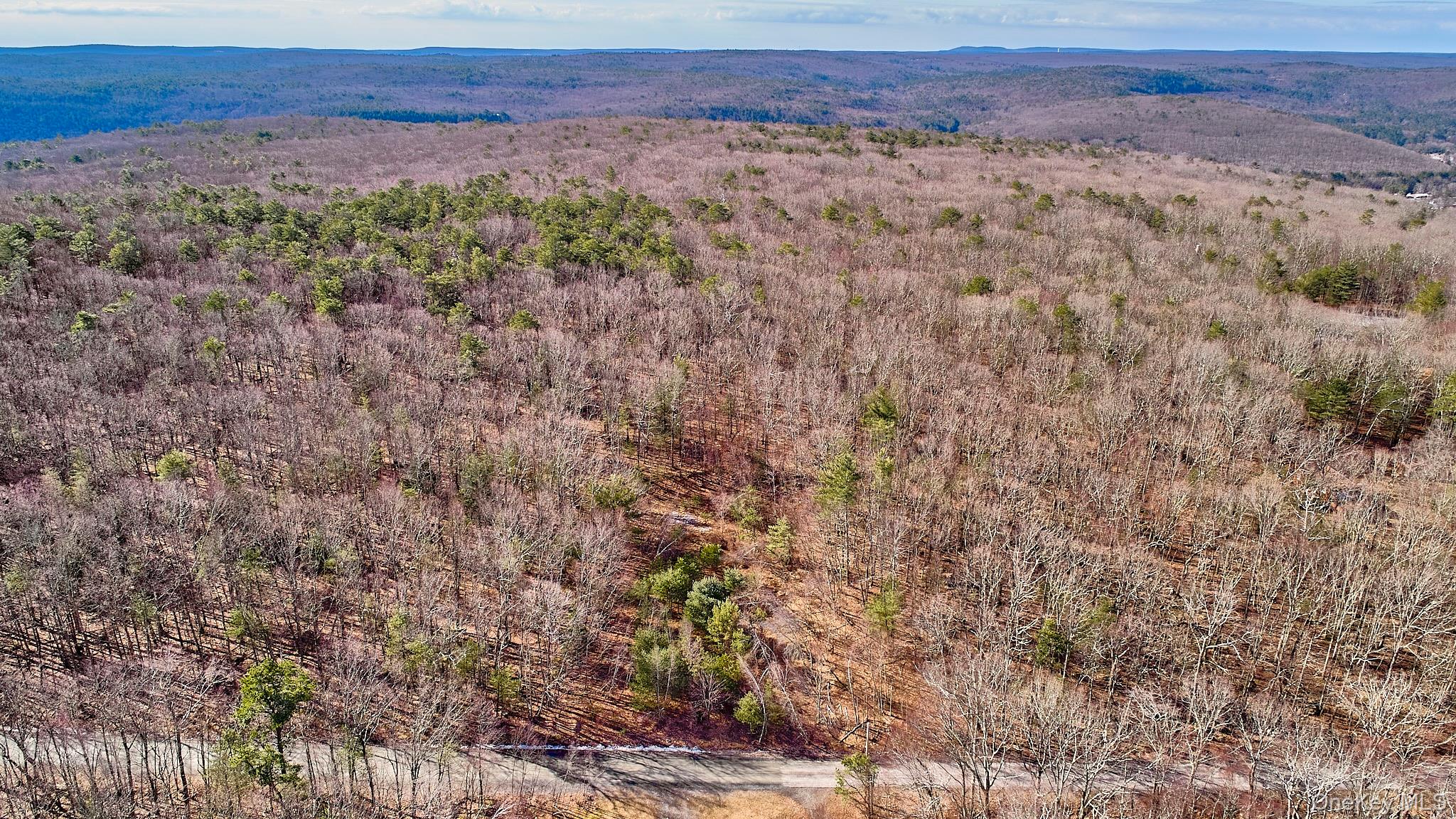 Lot 1 Zane Grey Way, Barryville, NY 12719