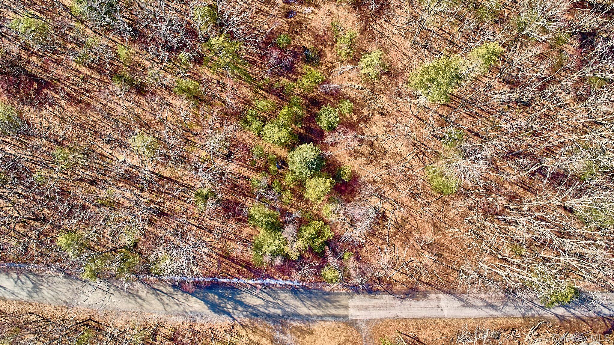 Lot 1 Zane Grey Way, Barryville, NY 12719