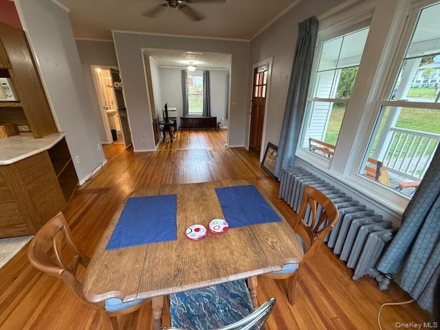 38 Winslow Place, Liberty, NY 12754