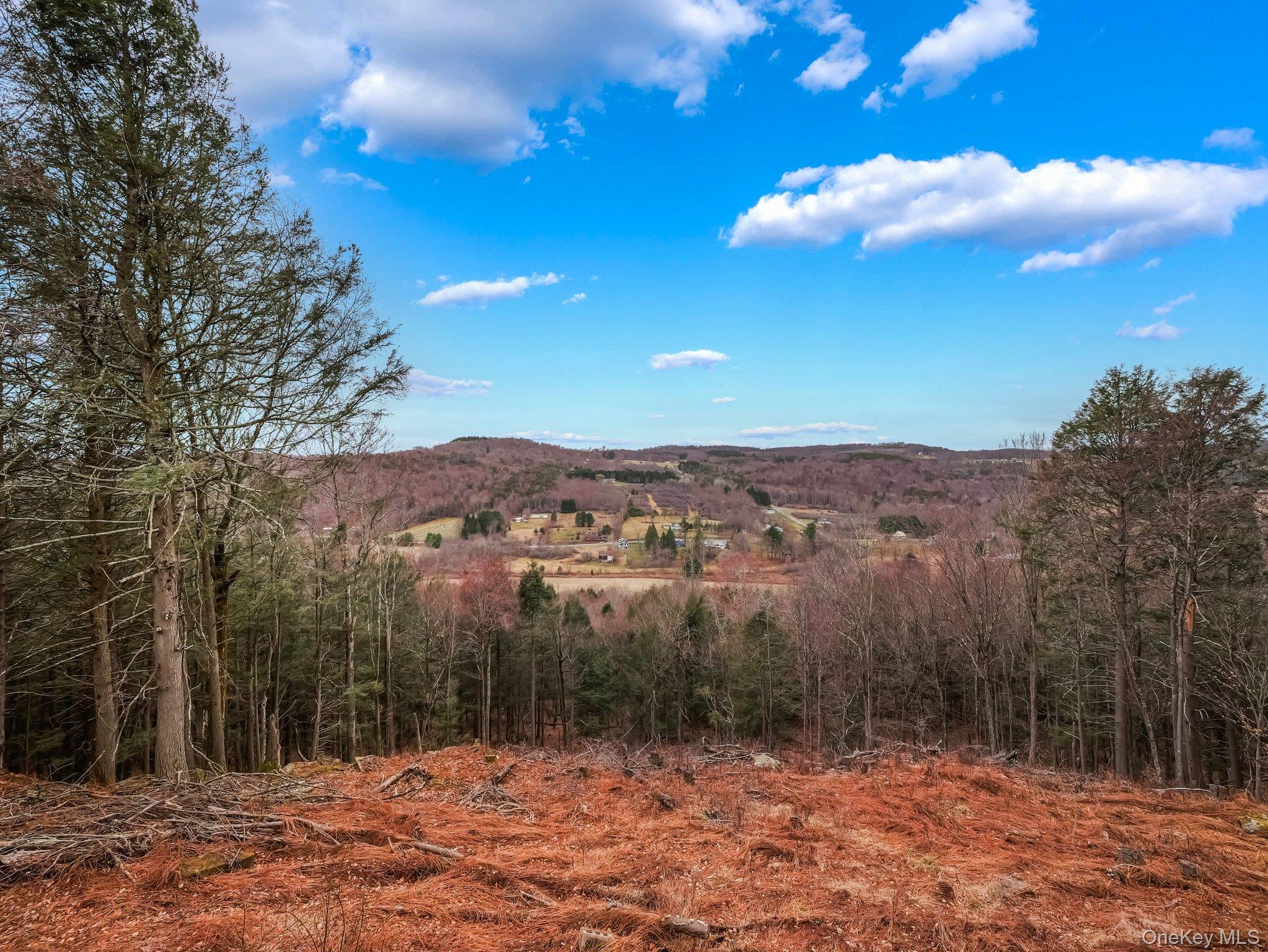 165 Boband Road, Jeffersonville, NY 12748