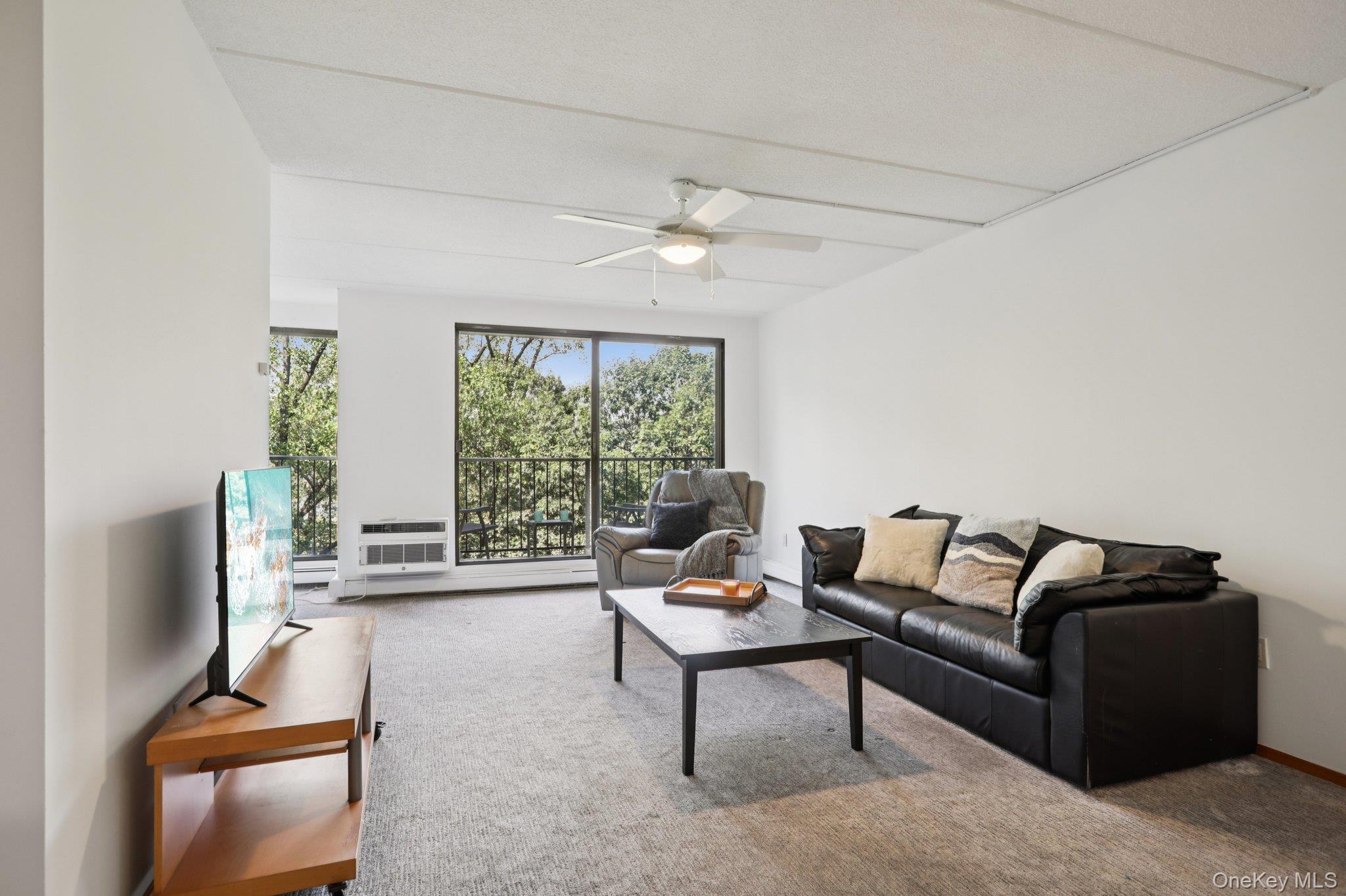 1 David Lane # 3G, Yonkers, NY 10701