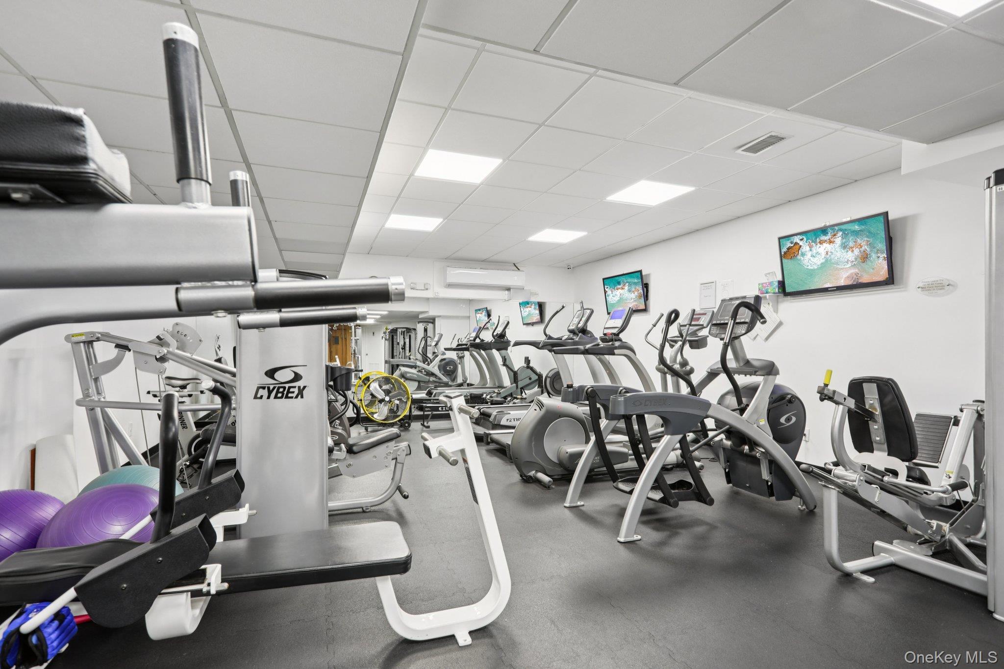 1 David Lane # 3G, Yonkers, NY 10701