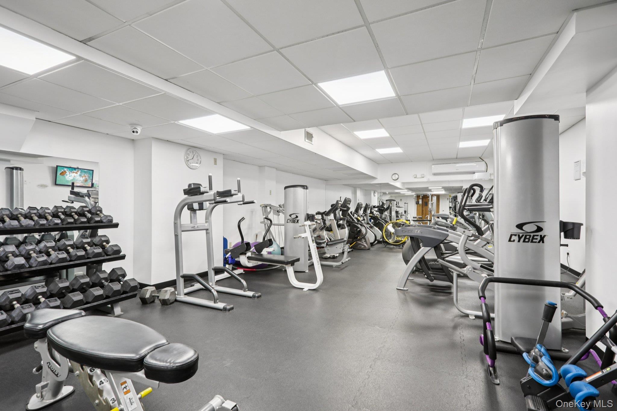 1 David Lane # 3G, Yonkers, NY 10701