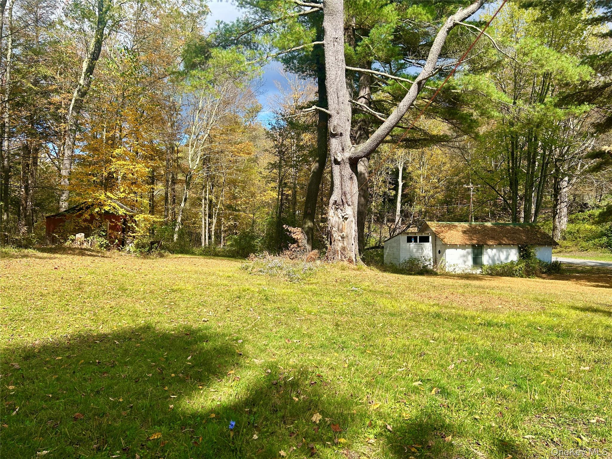 15 Burnt Hill Road, Roscoe, NY 12776